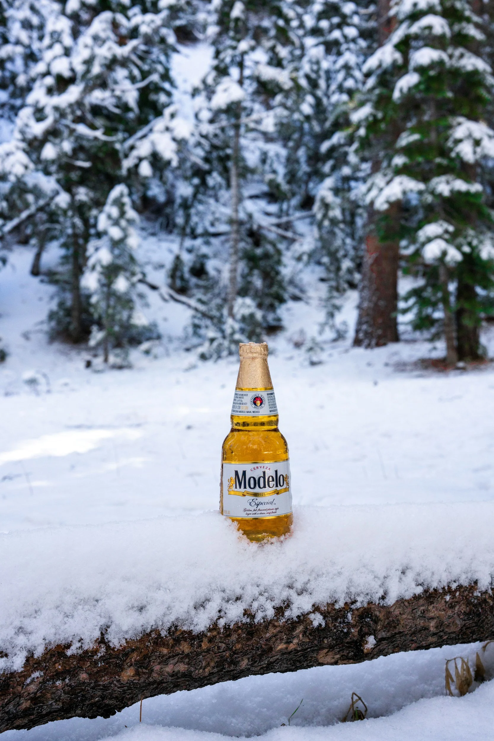 Beer Me! Season 3, Episode 7: 2/18/26.