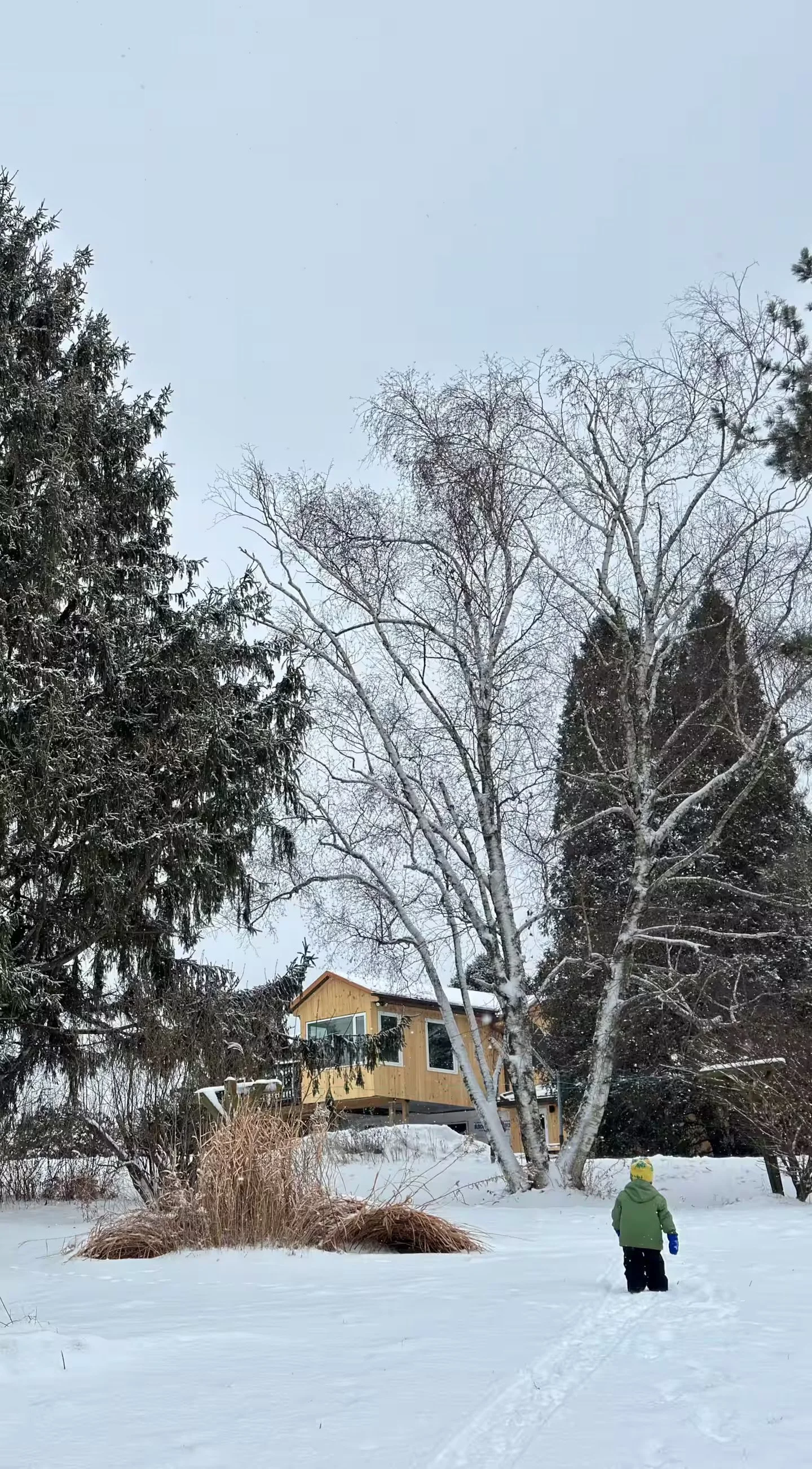 512eda5e-d0ac-4f9b-9d13-3b8c52158900.jpeg