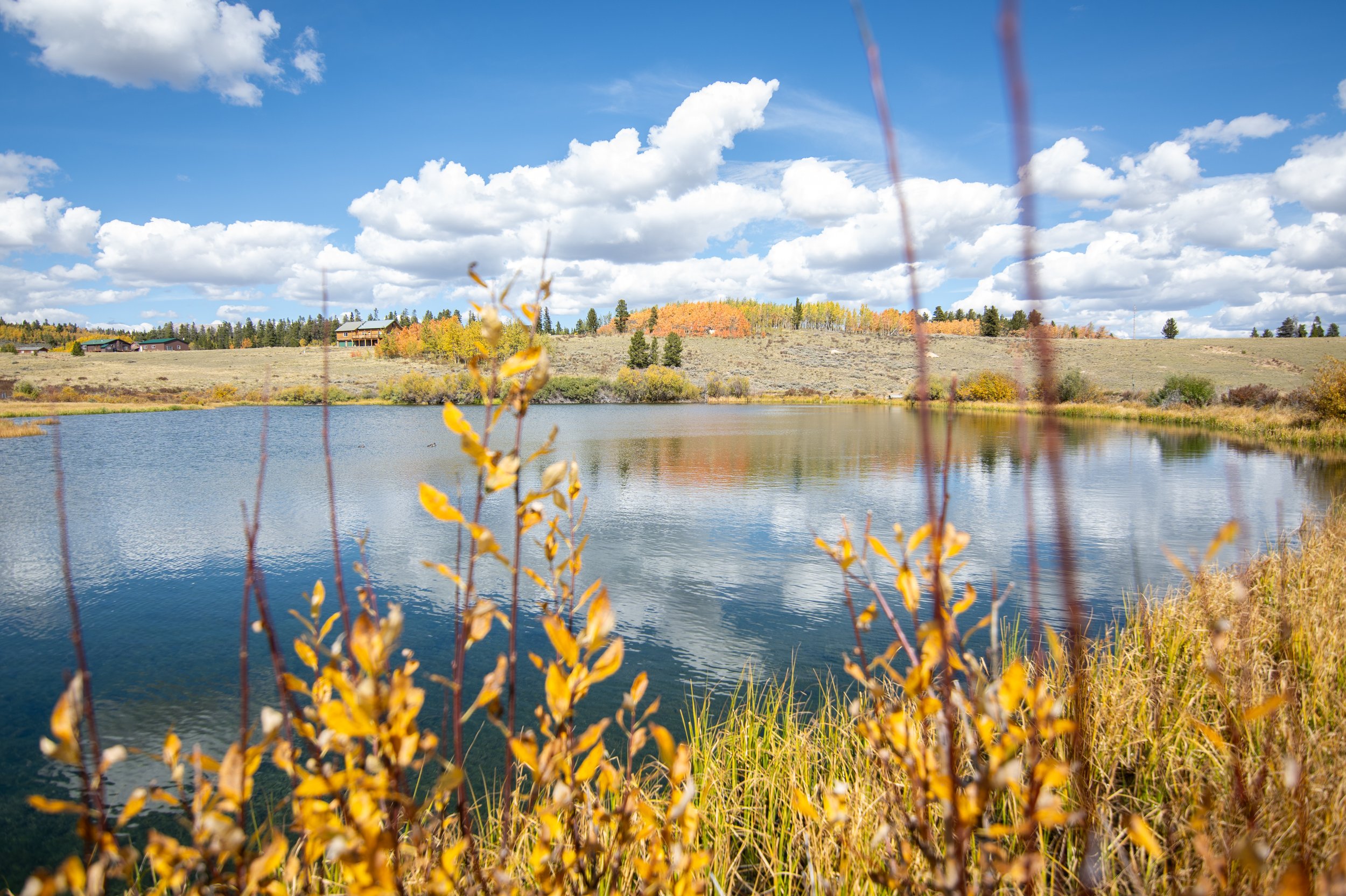Outdoor - pond.jpg