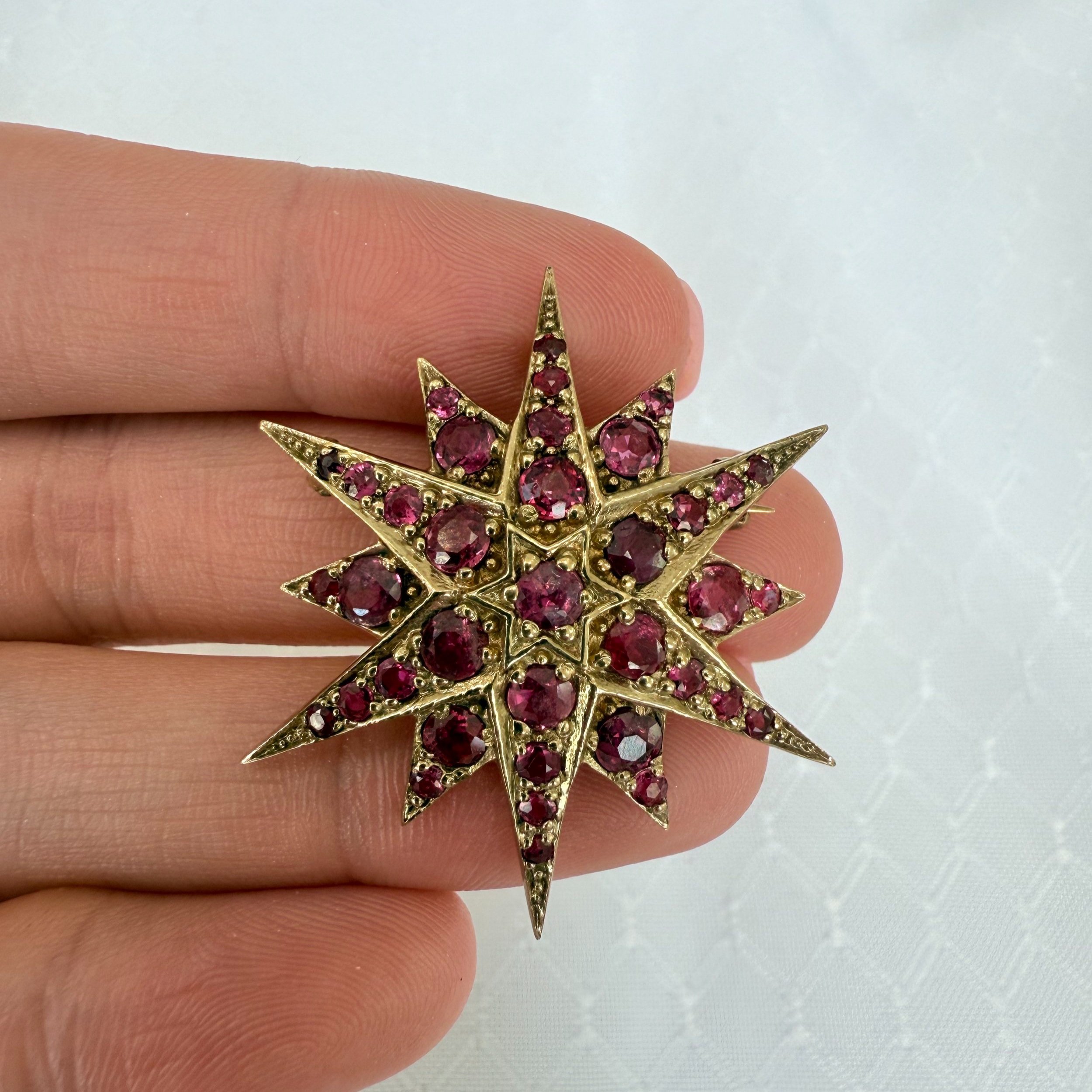 9k Ruby Brooch & Pendant