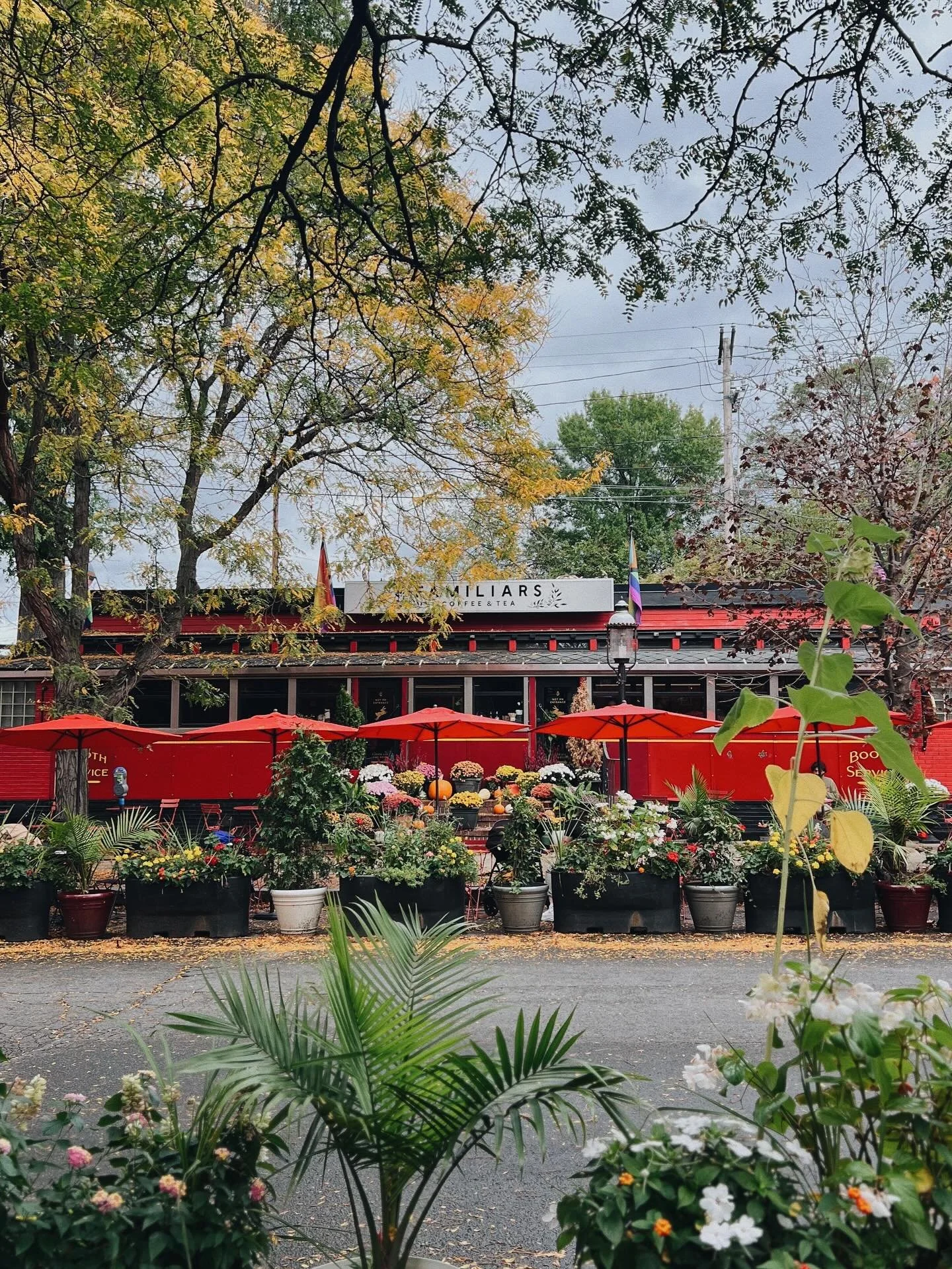Something about a dreary sky really makes the fall colors pop 🌧️🍁
&bull;
Here tomorrow 8-6!
📷 @emmacolwellphoto