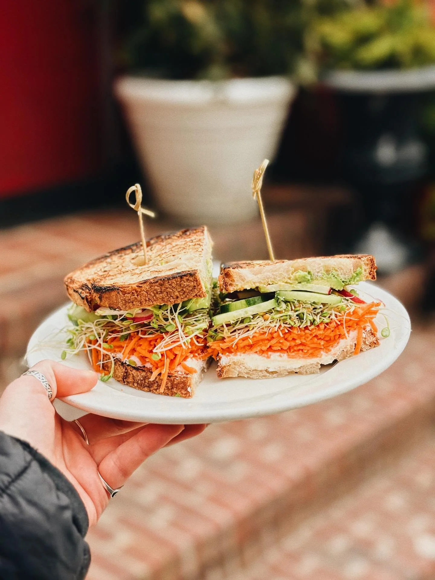 The Carrot &amp; Radish Sandwich 🥕🫜
&bull;
This returning spring favorite always hits the spot.
&bull;
Avocado, cucumbers, carrots, radishes, and goat cheese&mdash;all with a drizzle red wine vinegar. Bright, crunchy, and refreshing.