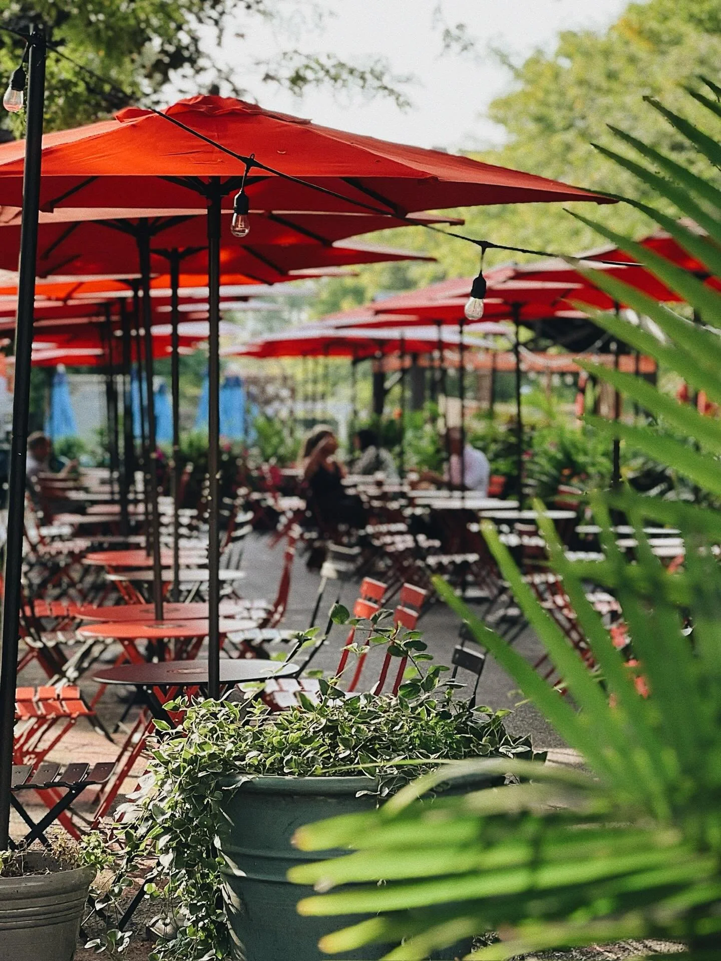 Just a few more weeks and life&rsquo;s going to look a whole lot better&mdash;@summeronstrong is coming back, and we can&rsquo;t wait!