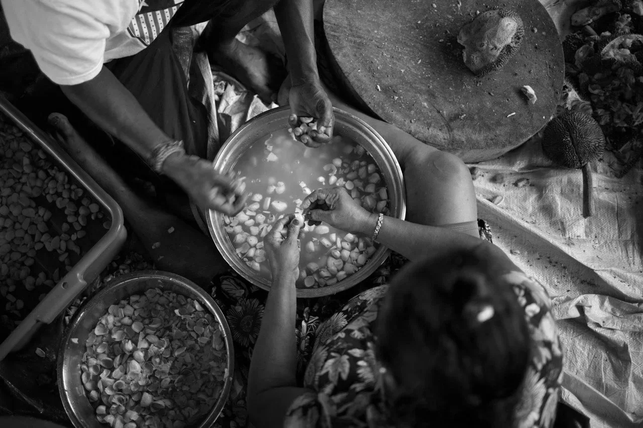On Stilts and in Stillness: Encounters with a Country in Transition