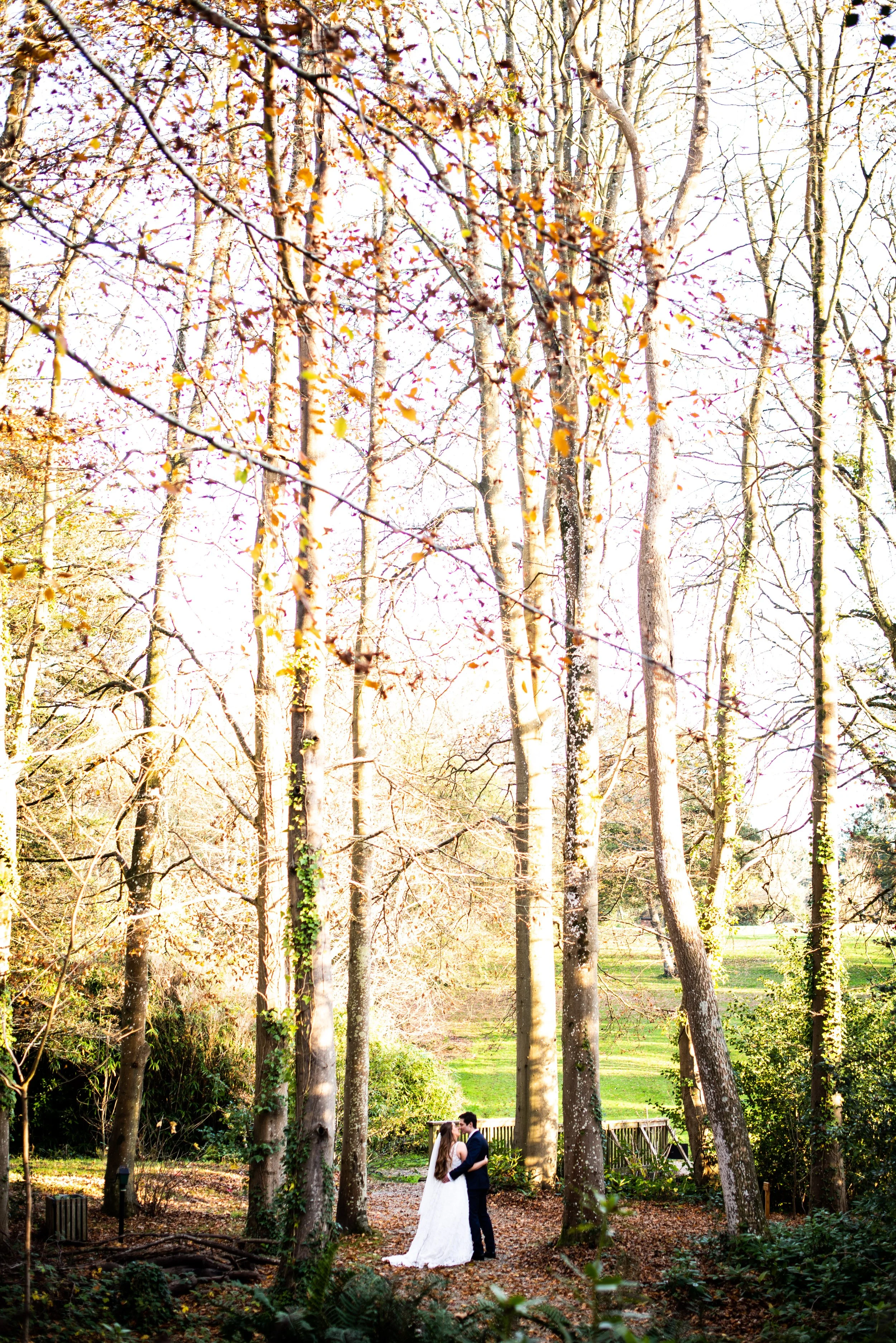 A bride and groom standing close and holding each other in a forest with tall, leafless trees and green grass in the background.