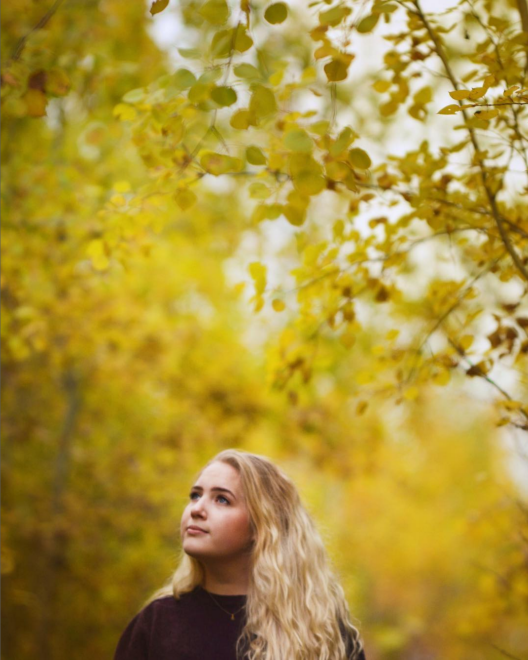 Screenshot 2024-04-19 at 14-10-11 Laura Vaughters (@lauralye_l) • Instagram photos and videos.png