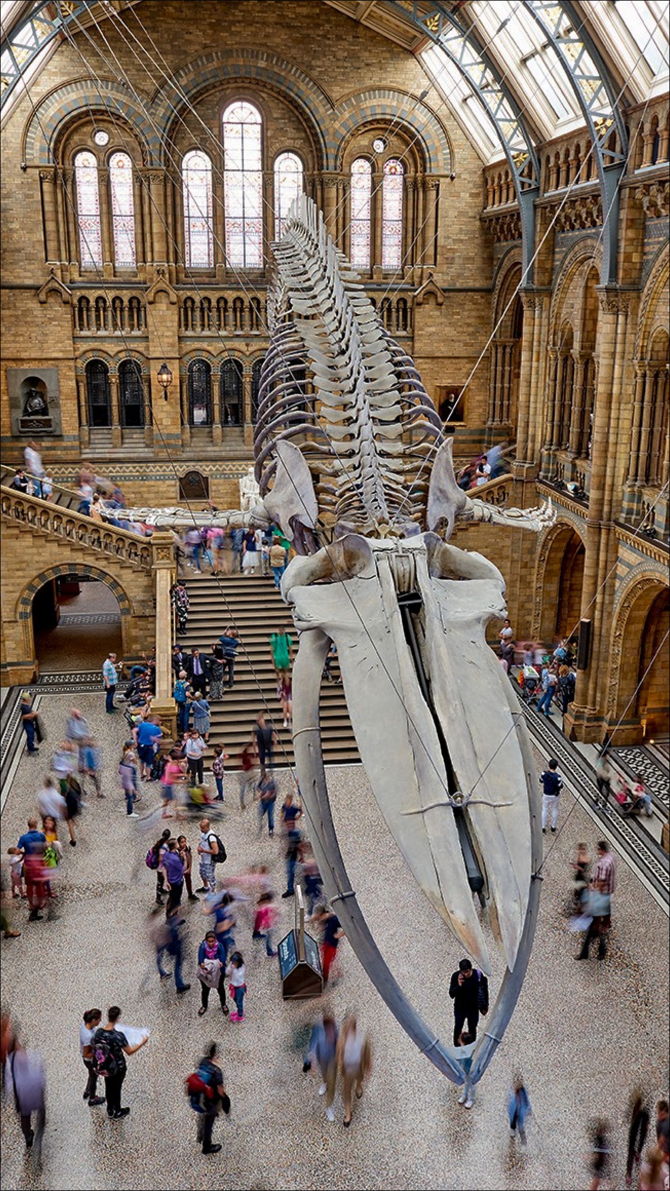 Instagram story - 24.png