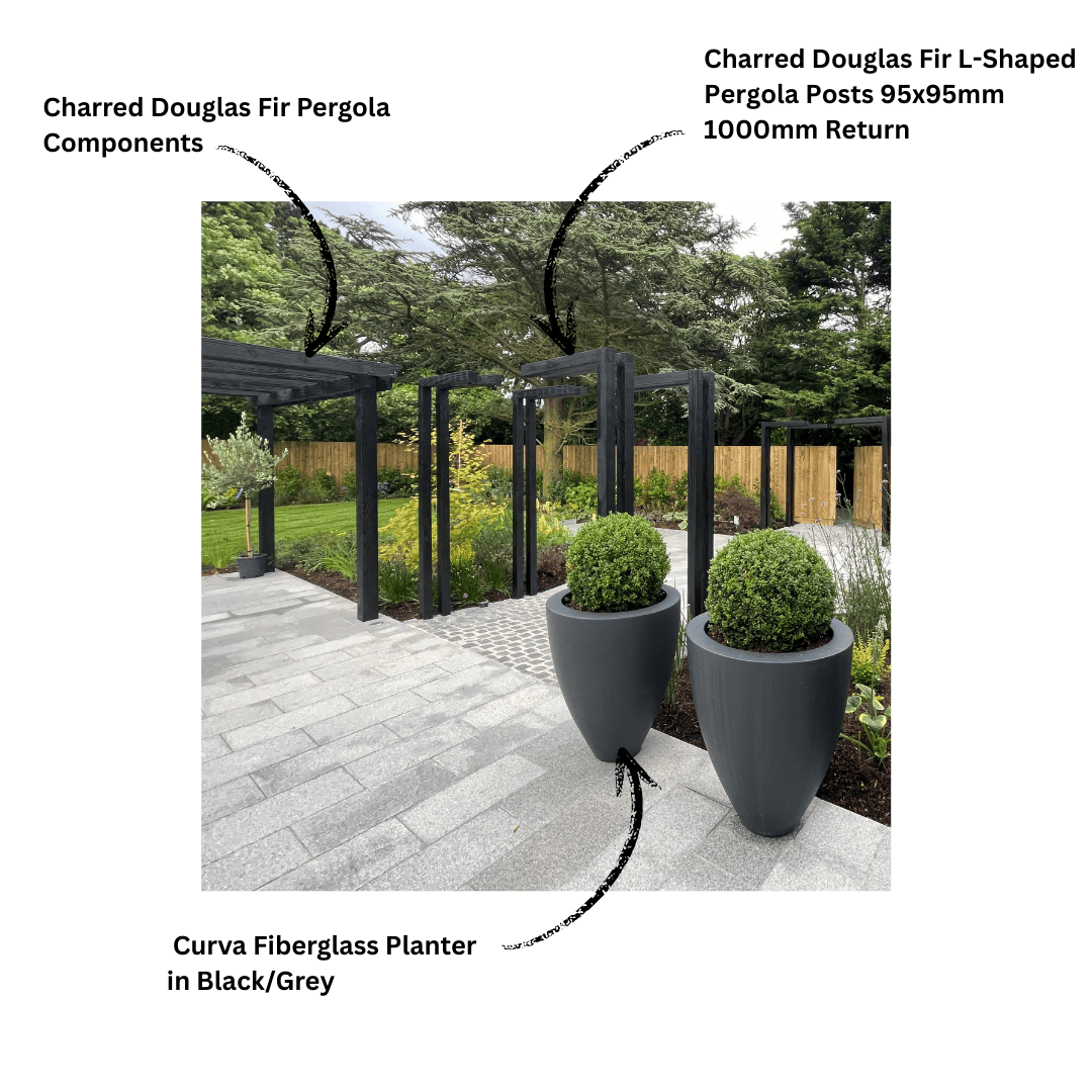 Charred Douglas fir Shou Sugi Ban pergola posts with L-shaped timber return in a modern landscaped garden with black/grey Curva fiberglass planters.