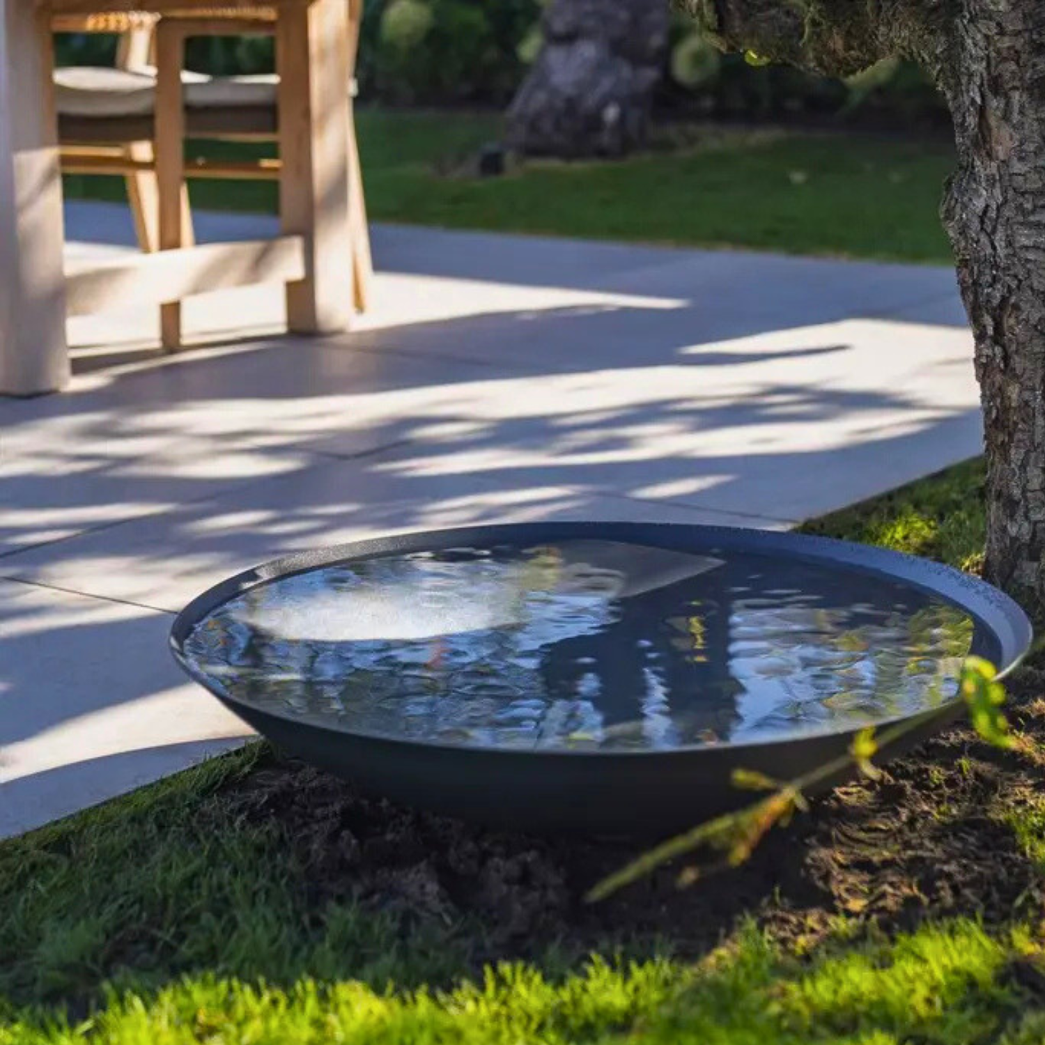 Powder coated steel garden water bowl with flowering plants and evergreen shrubs.
