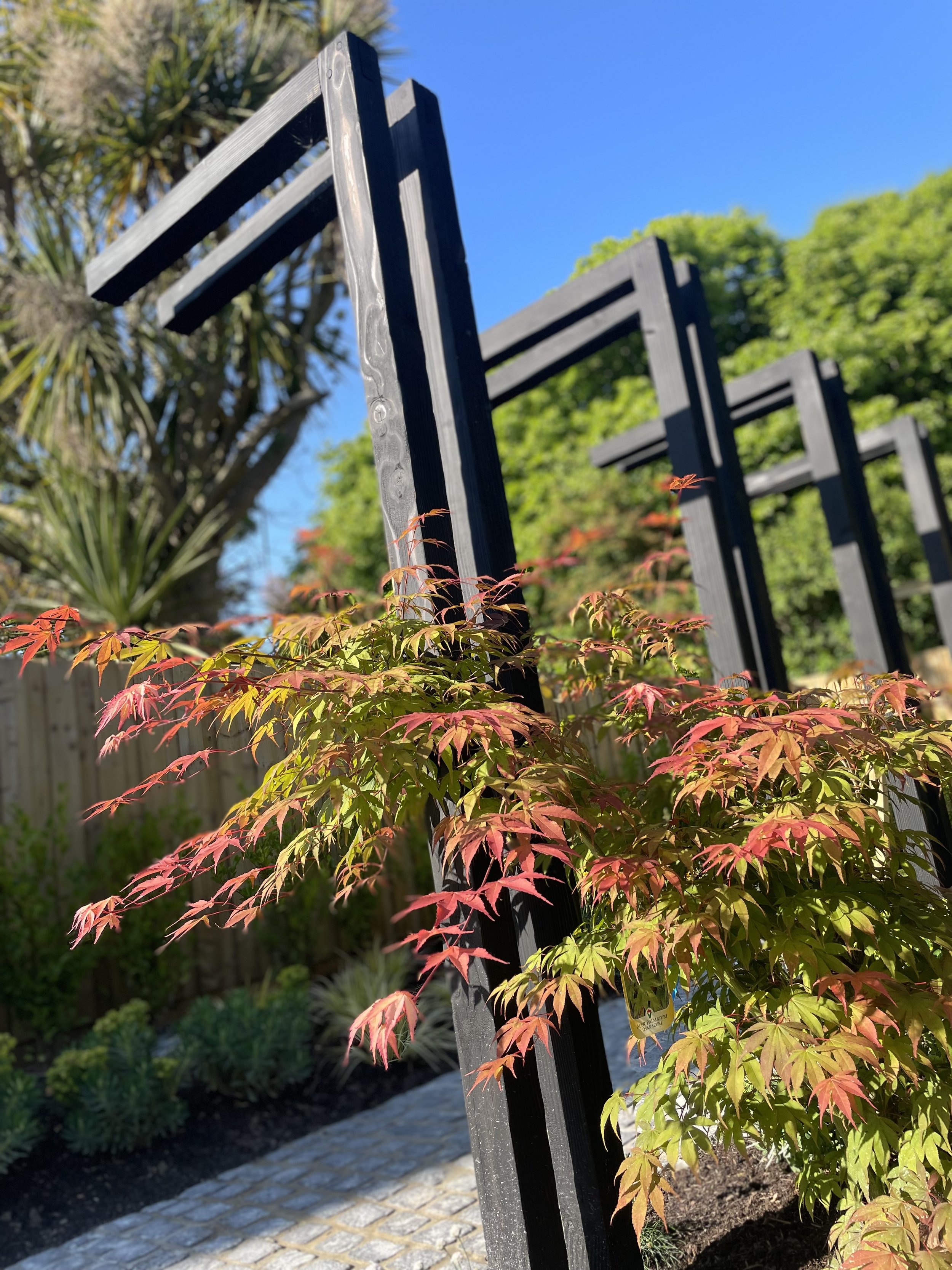 Charred Douglas Fir L-Shaped Pergola Posts 95x95mm