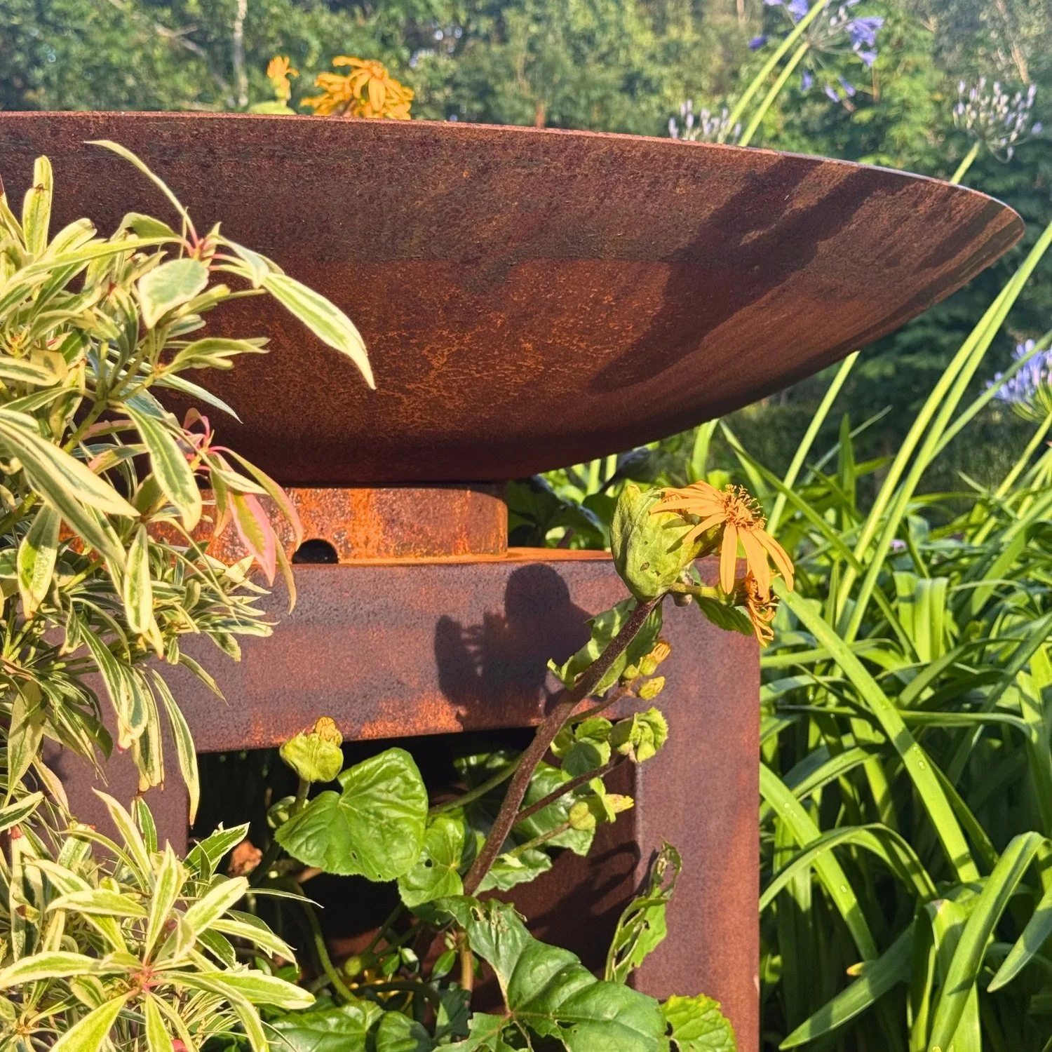 ⁠Side profile of a rusted steel water bowl feature surrounded by green garden foliage.⁠