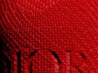 Rouge — Floral Velvet Satin