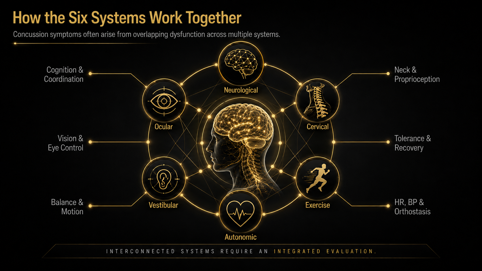 Diagram illustrating how the six systems of the body work together, including ocular, vestibular, autonomic, neurological, cervical, and exercise, emphasizing their interconnectedness for concussion management.
