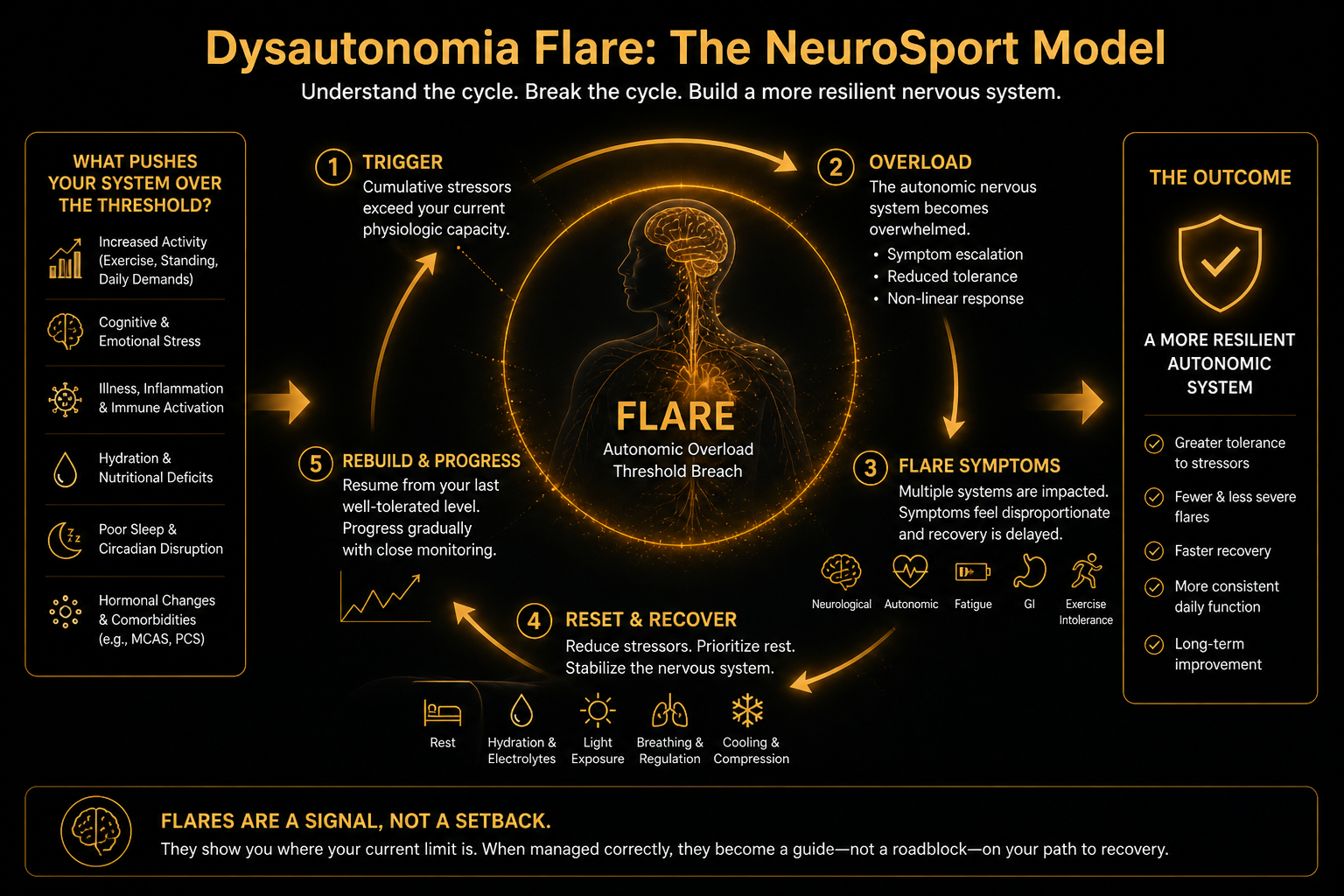 Diagram illustrating Dysautonomia Flare: The NeuroSport Model, showing the cycle from trigger, overload, flare symptoms, reset and recover, and rebuild and progress, with descriptions for each stage and factors that contribute to flares.