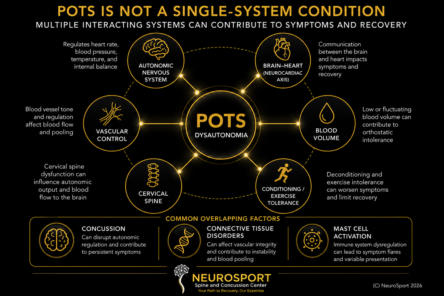 A diagram explaining that Postural Orthostatic Tachycardia Syndrome (POTS) is not a single-system condition. It shows multiple interacting systems: autonomic nervous system, brain-heart axis, vascular control, cervical spine, blood volume, and conditioning/exercise tolerance. These systems influence each other, with factors like concussion, connective tissue disorders, and mast cell activation also impacting POTS symptoms and recovery.