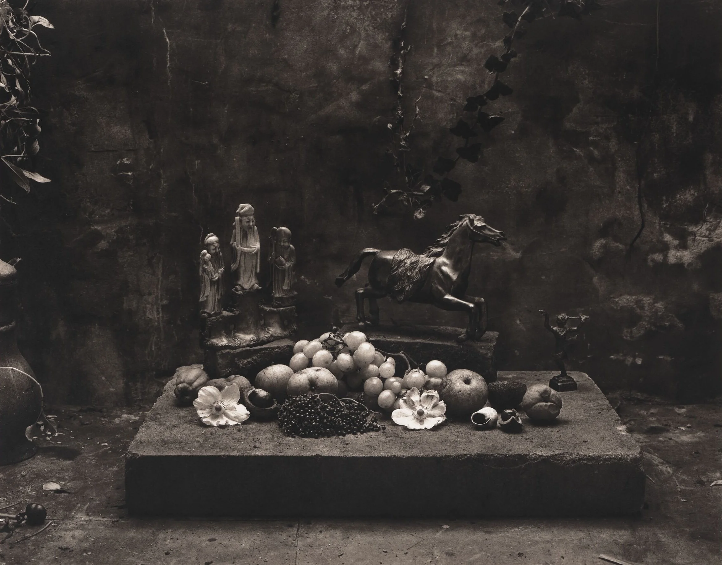 Still Life in my Garden Shed, 1991 © Don McCullin. Courtesy the artist and Hauser & Wirth