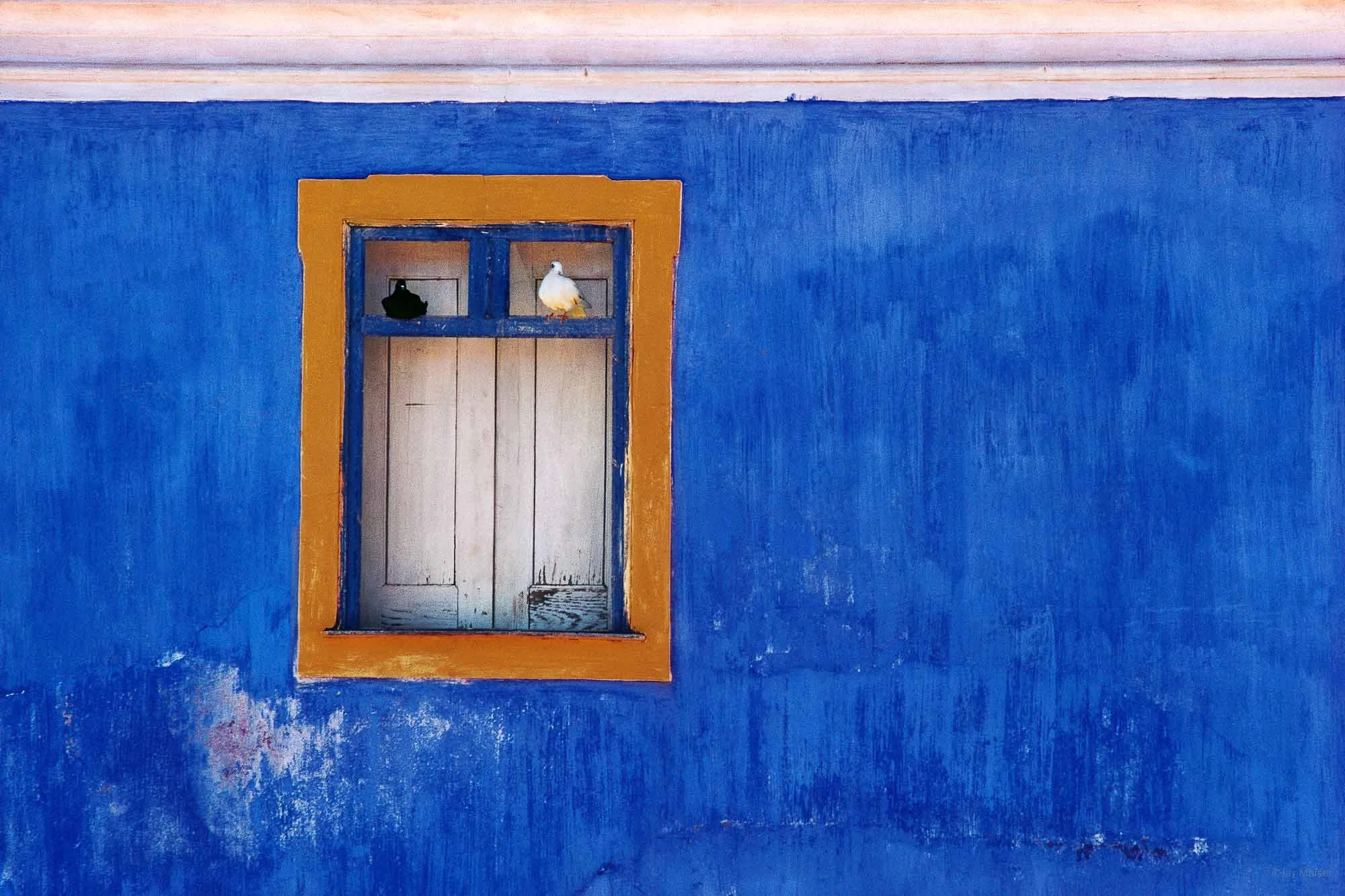 Blue Wall and Doves, Portugal, 1972 © Jay Maisel