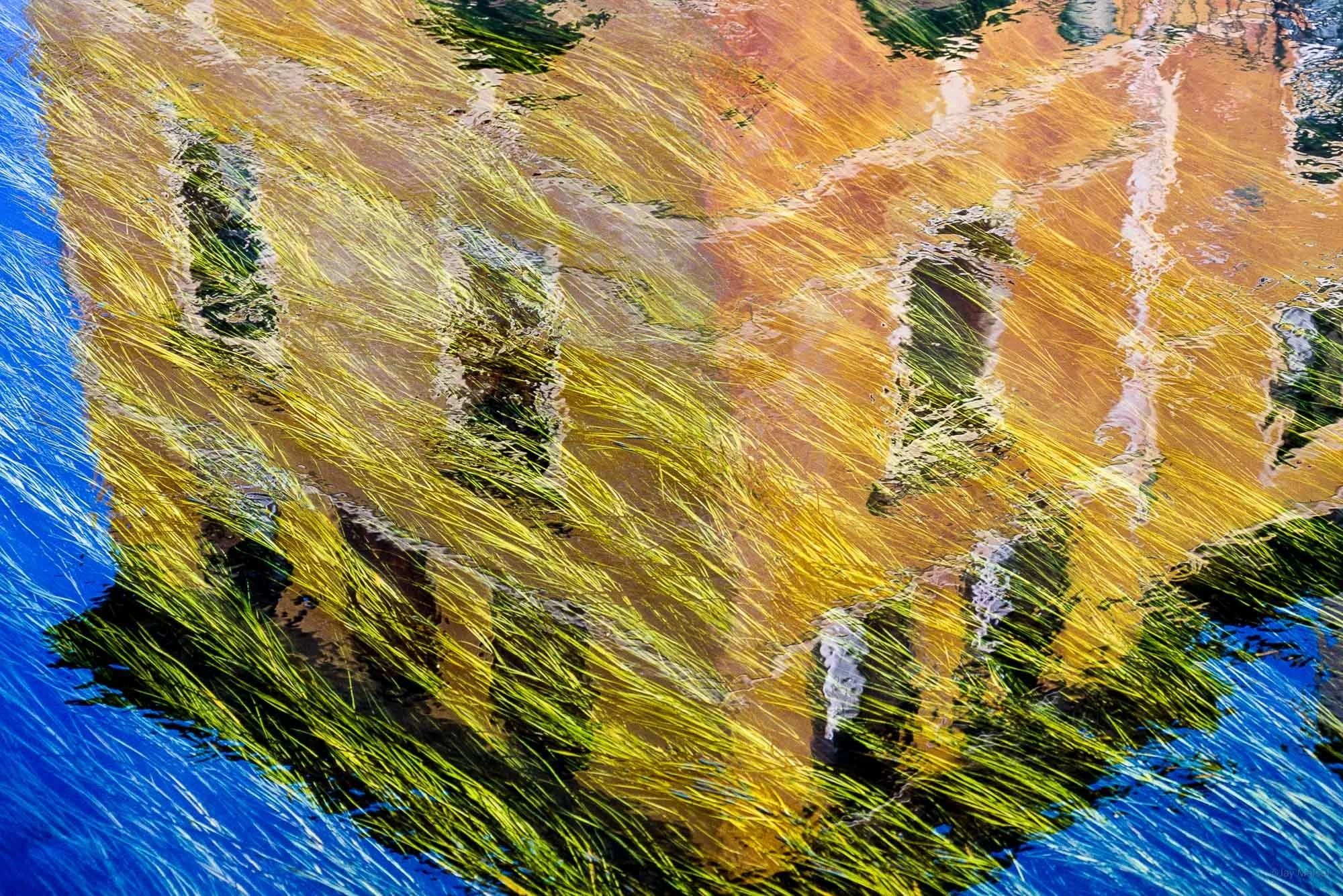 Reeds and Reflection, Vicenza, 
Italy © Jay Maisel
