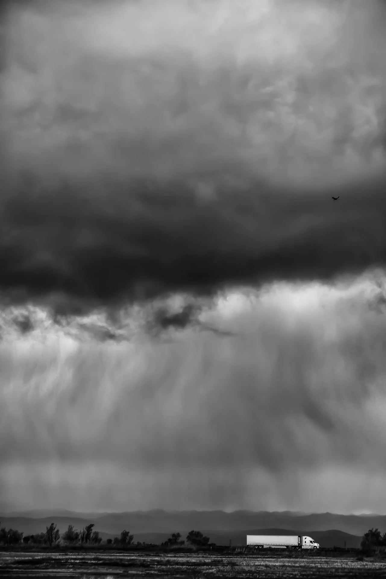 'Flying Through the Storm' © Rachelle Steele