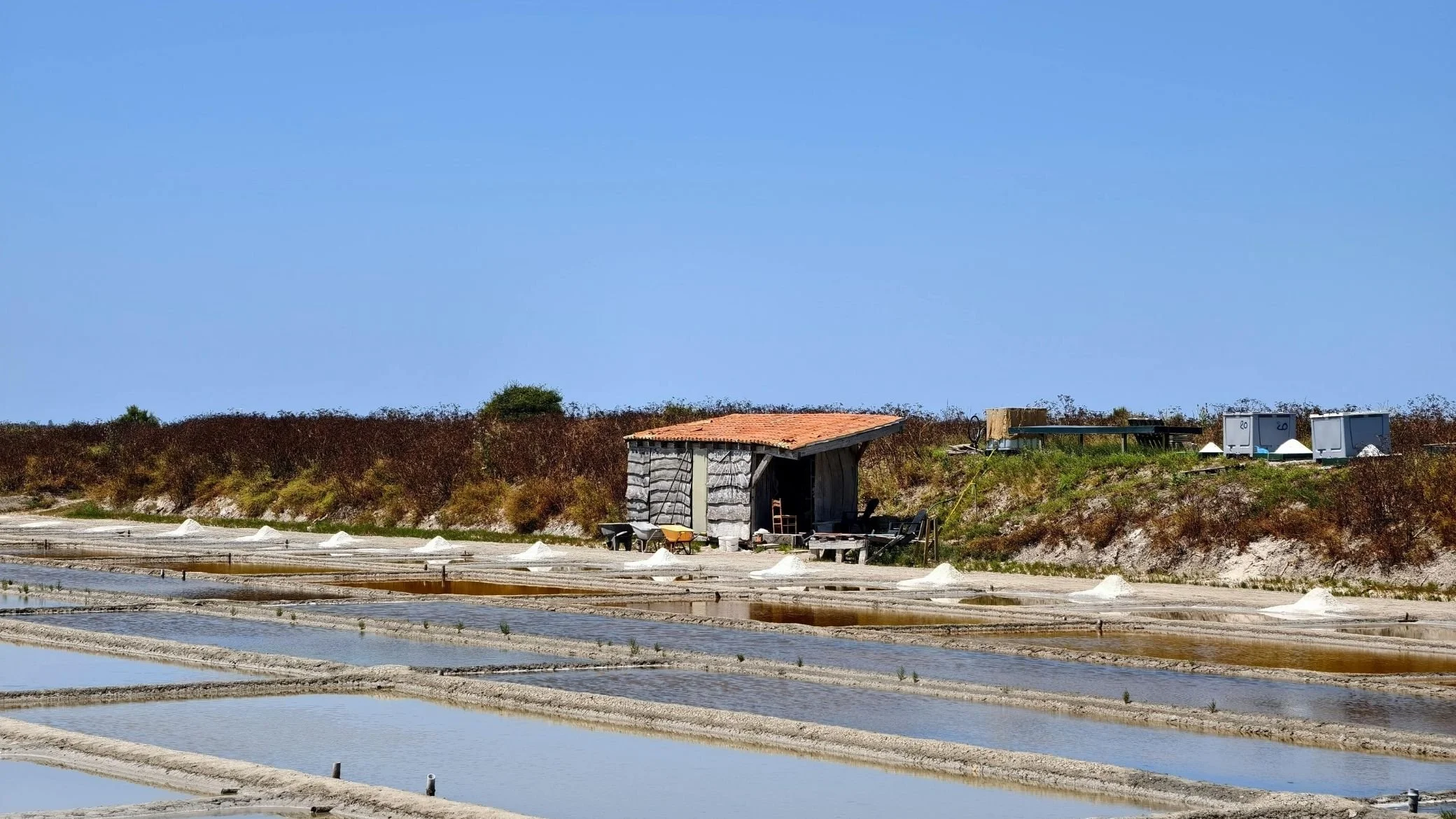 les activités ile de ré