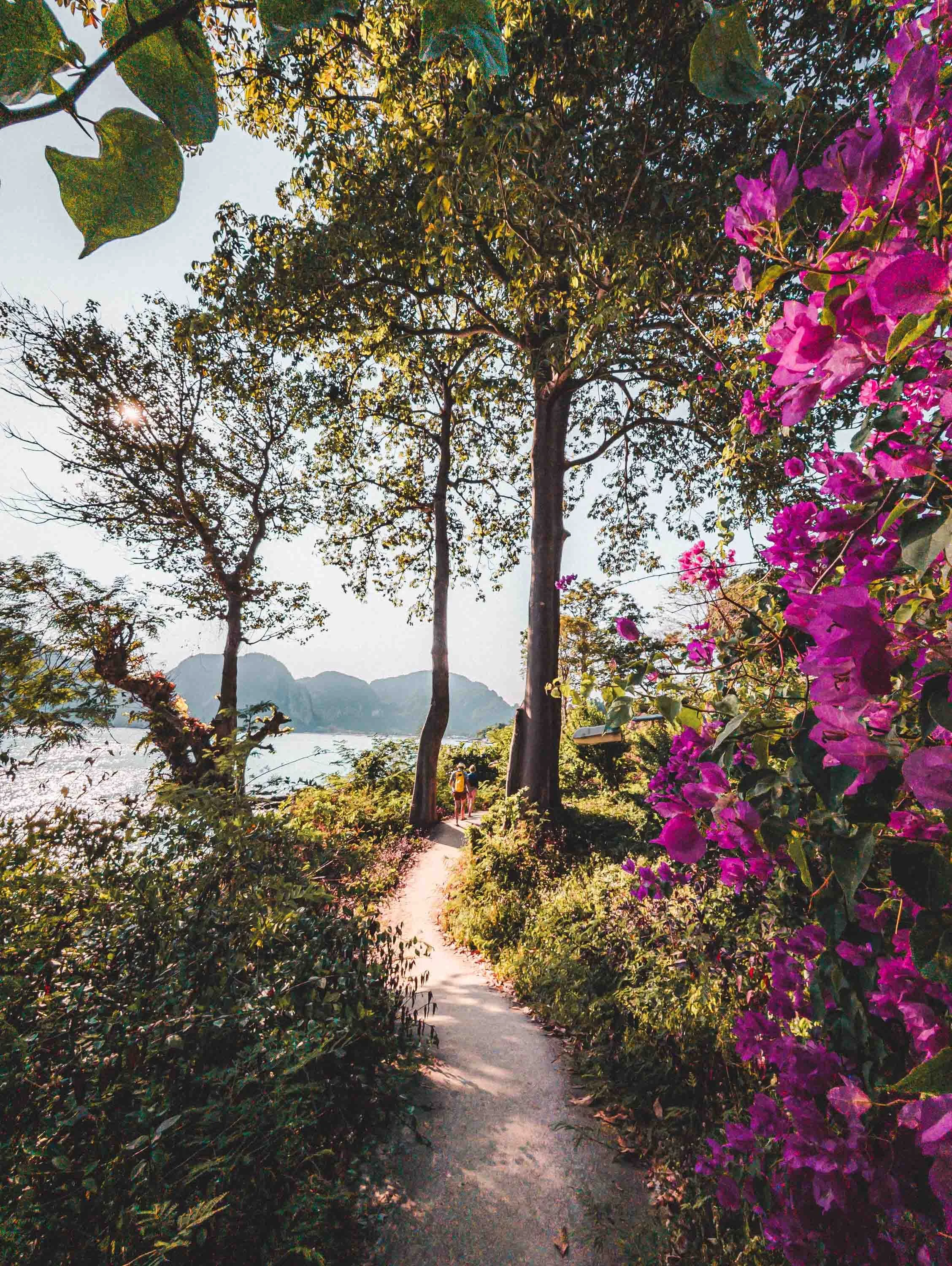 sentier koh phi phi
