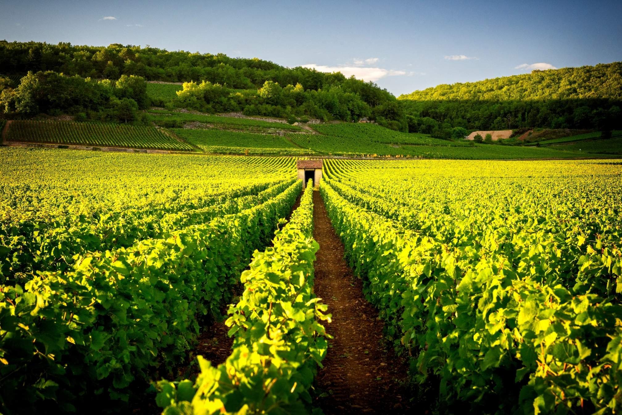 Hôtel de Charme en Bourgogne : Guide Complet + Top 7 des Meilleures Adresses