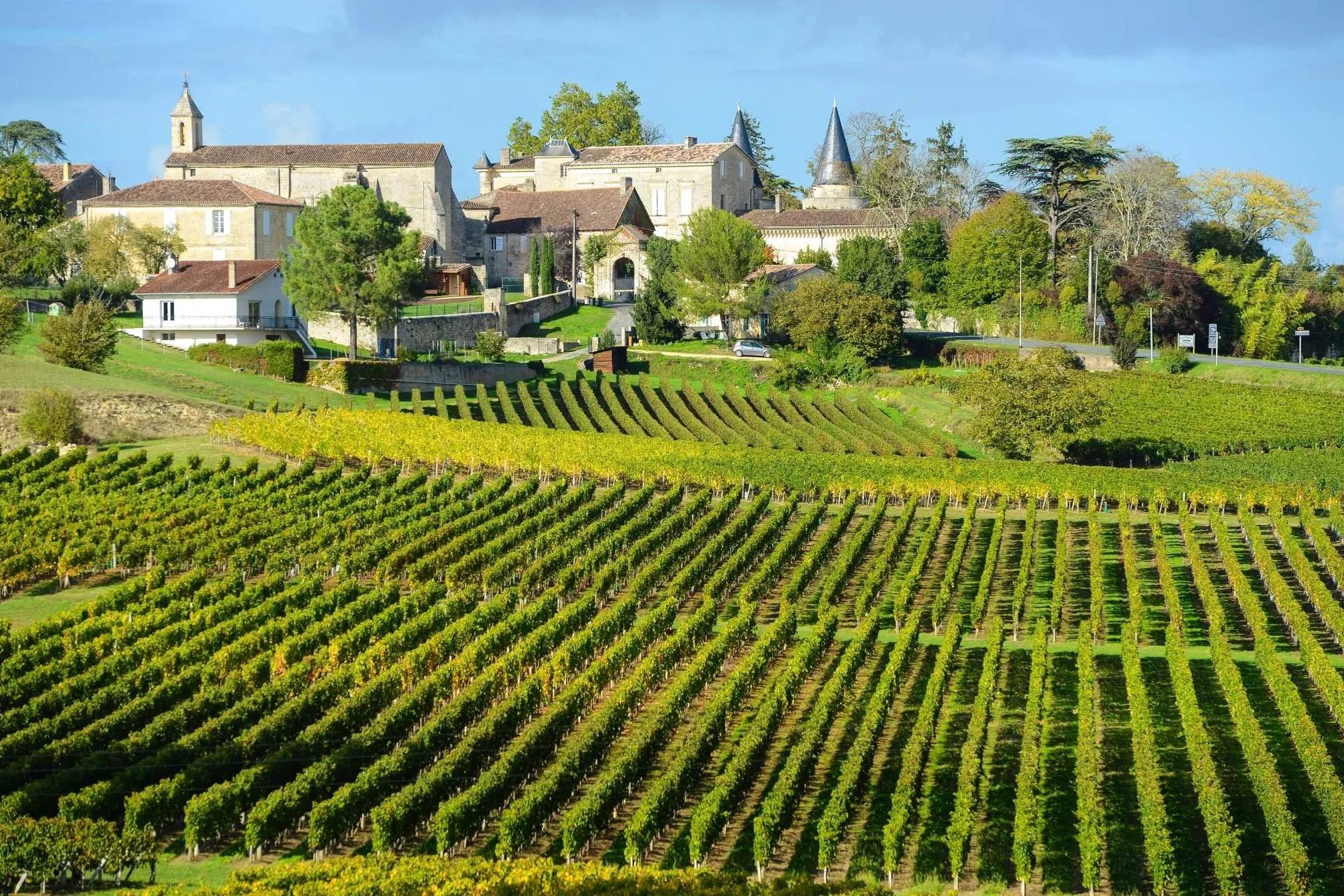 vignoble bordelais