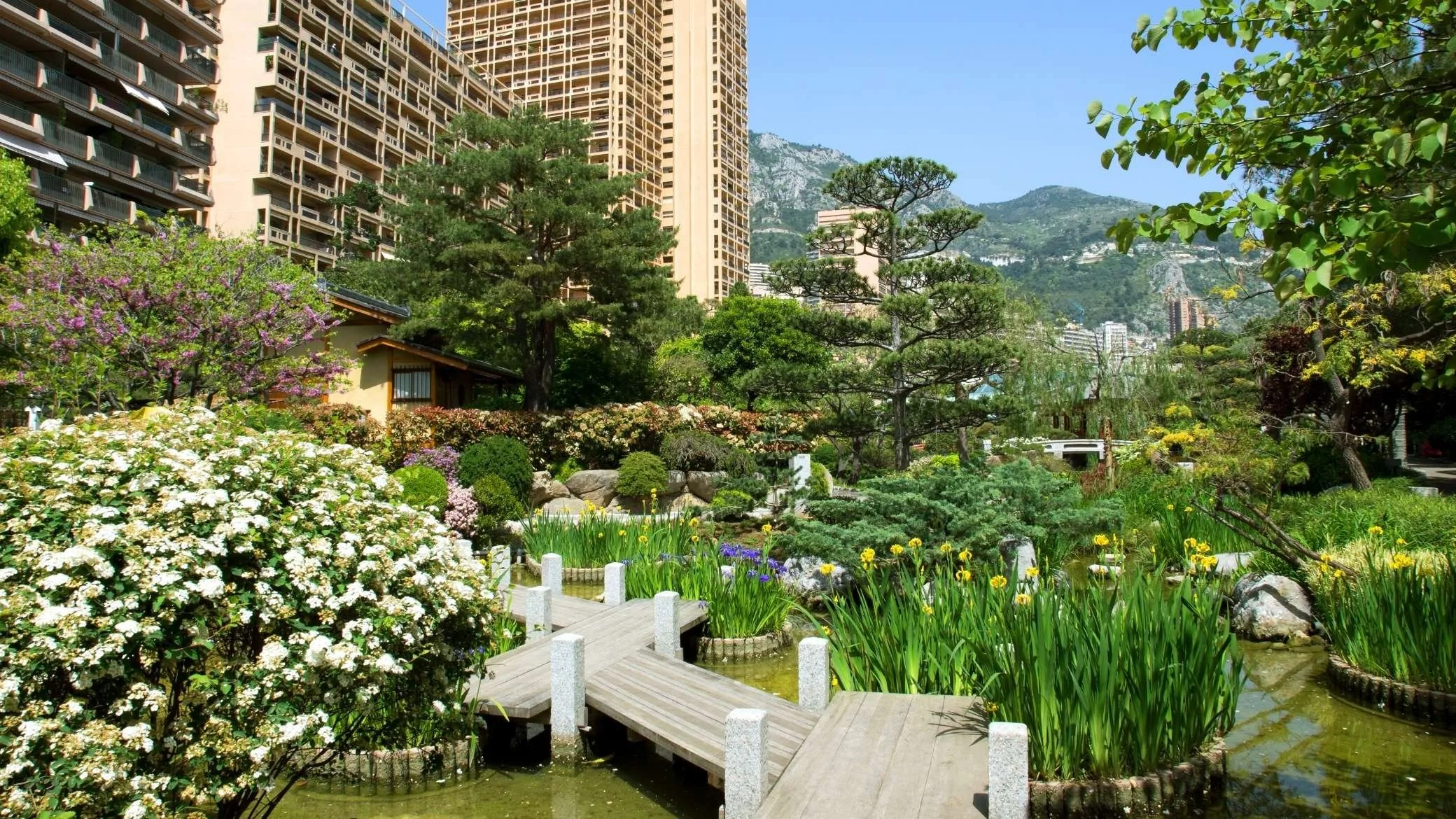jardin de monaco