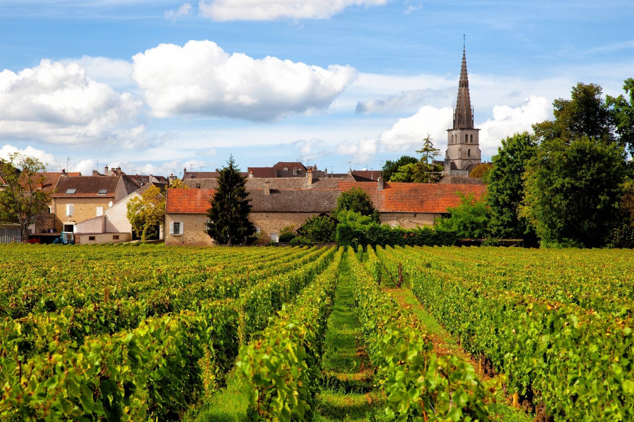 village bourgogne