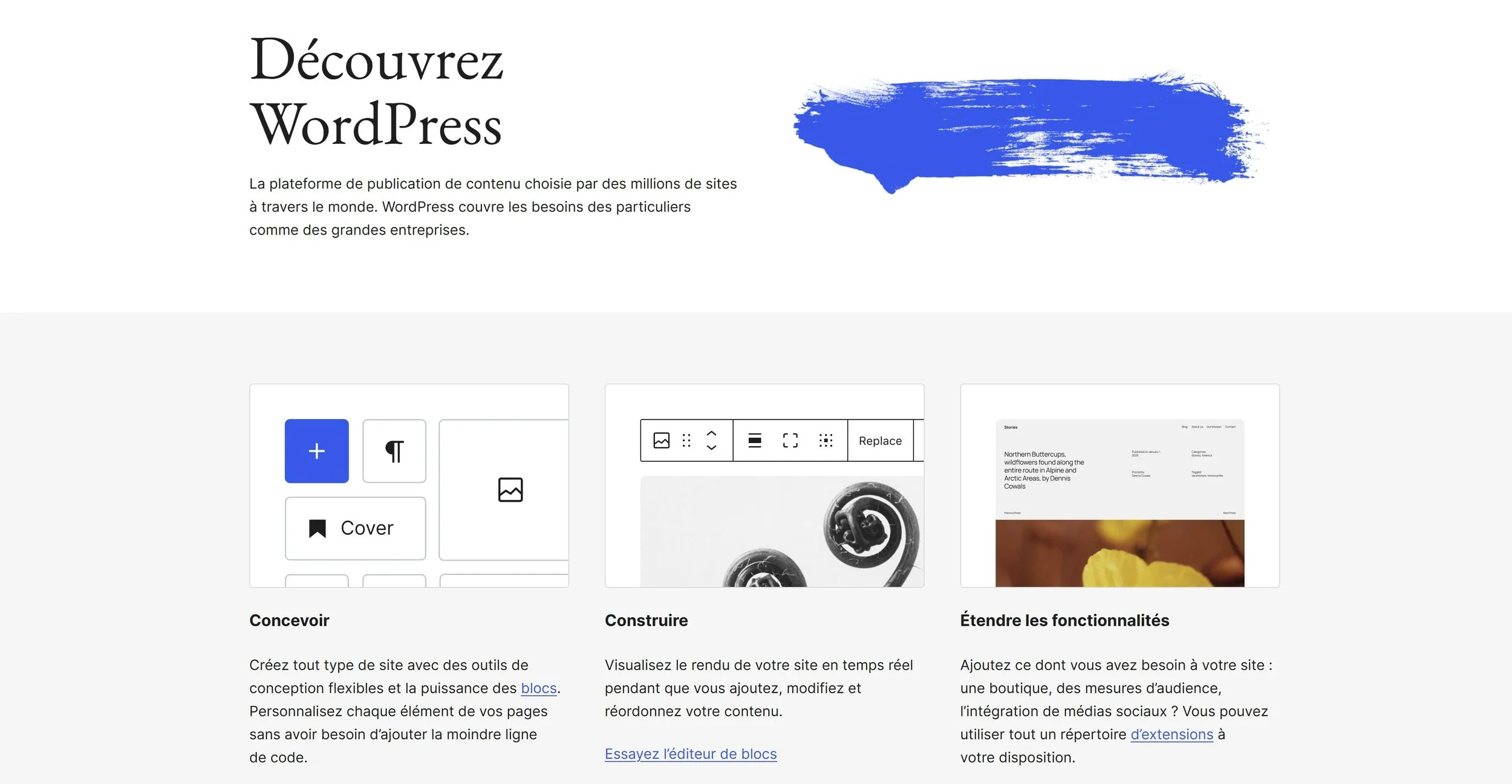 blog voyage wordpress