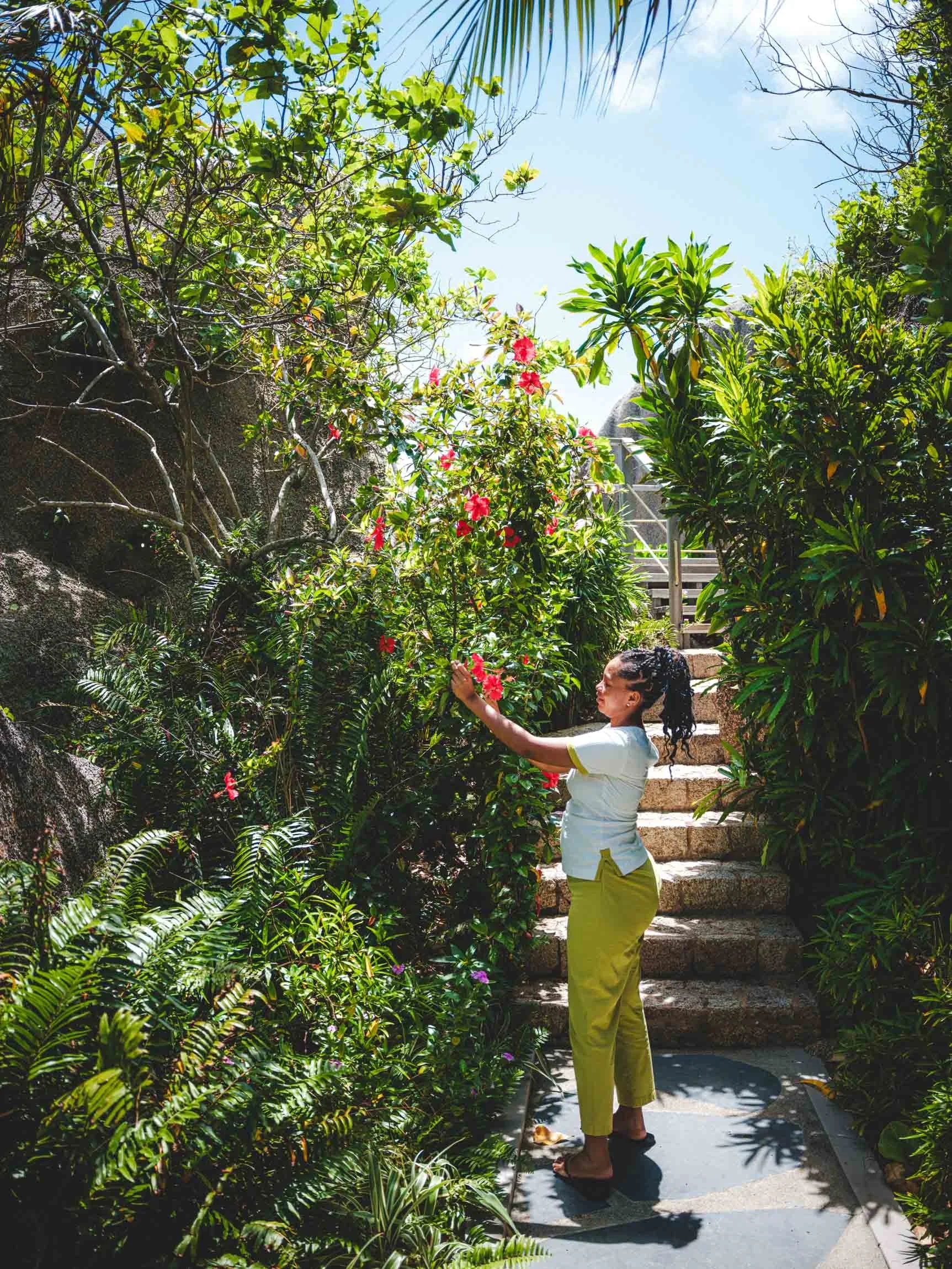 les services au six senses