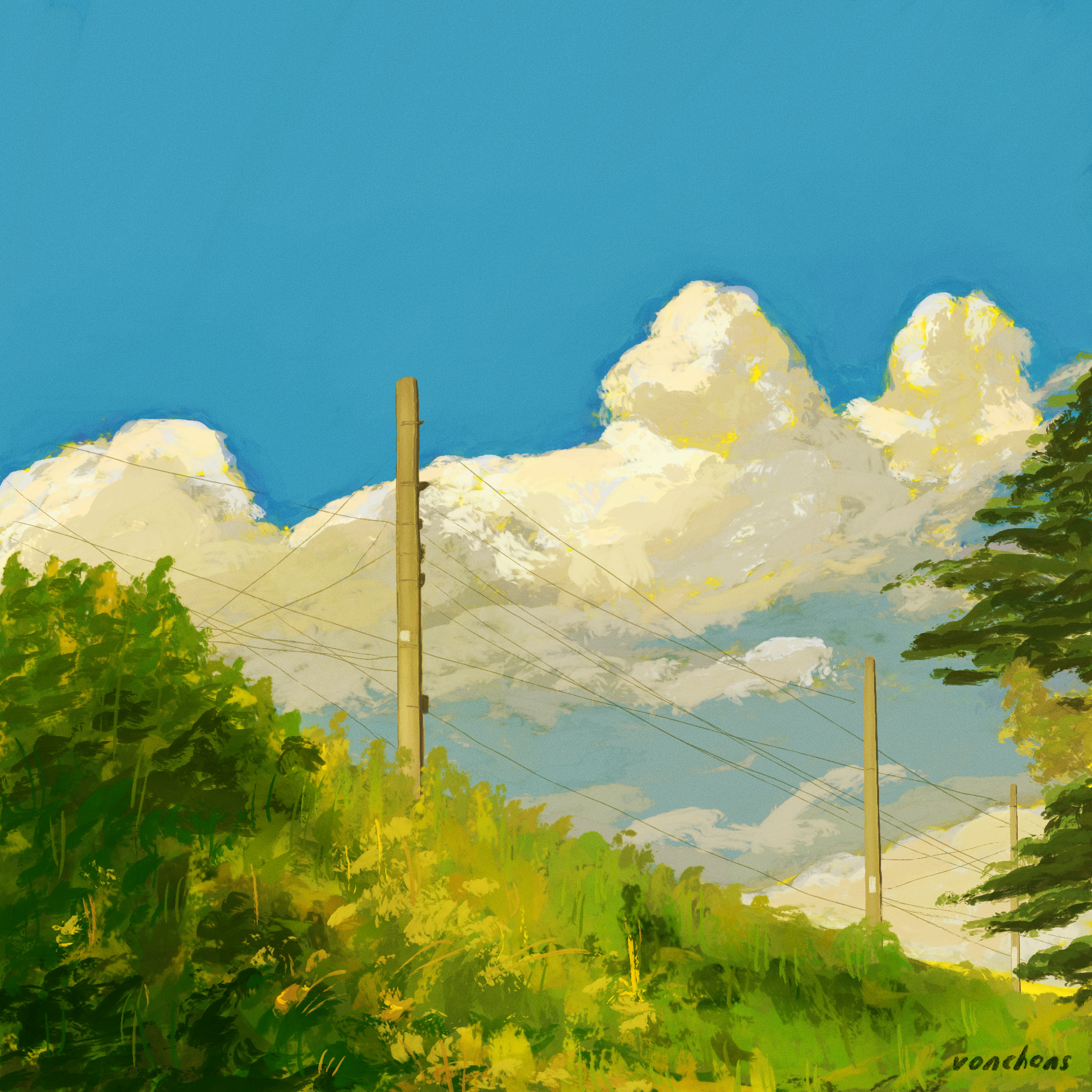 IMG_3592.PNG