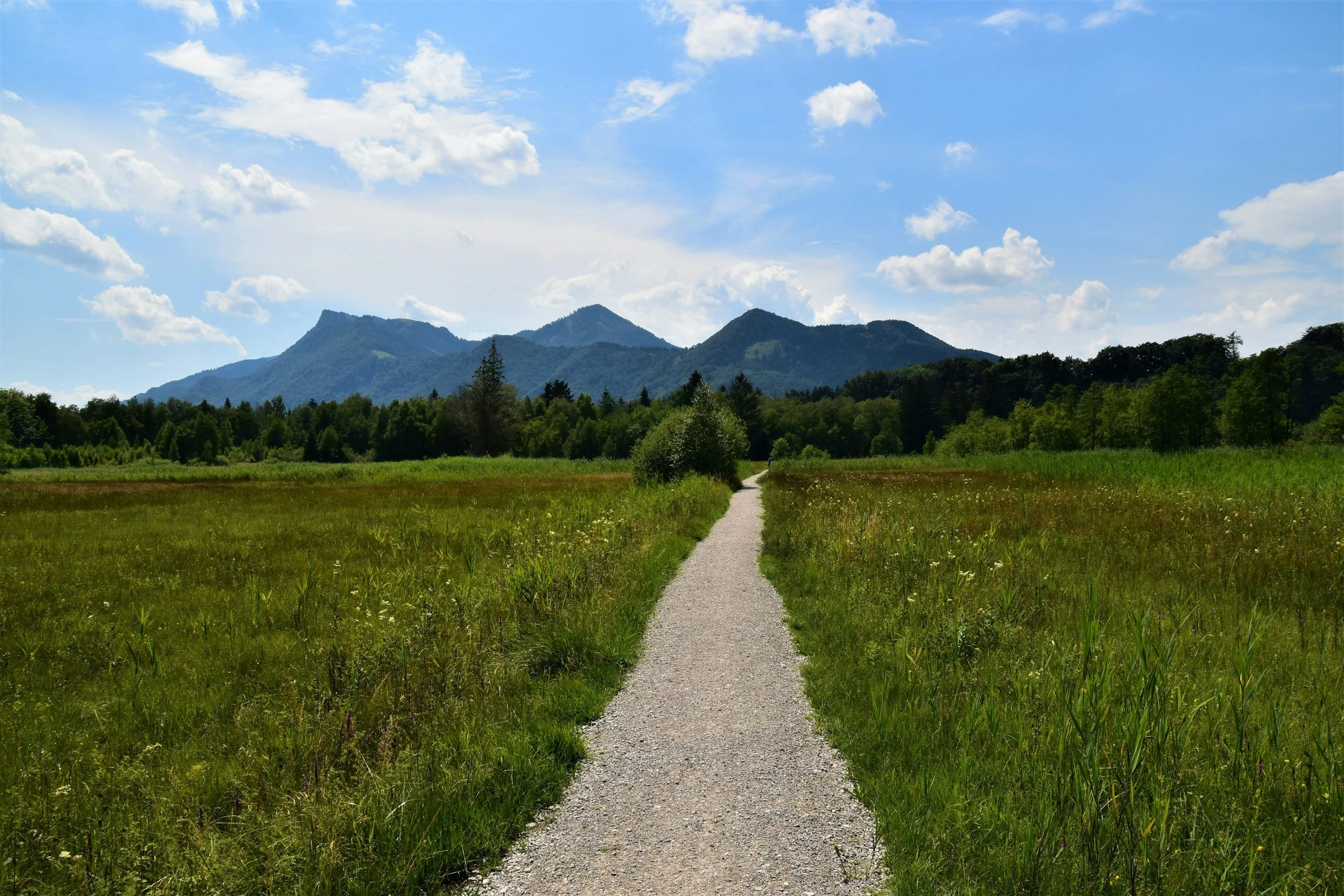 A gravel path runs through a lush green meadow with trees on either side, leading toward distant mountains under a partly cloudy blue sky.