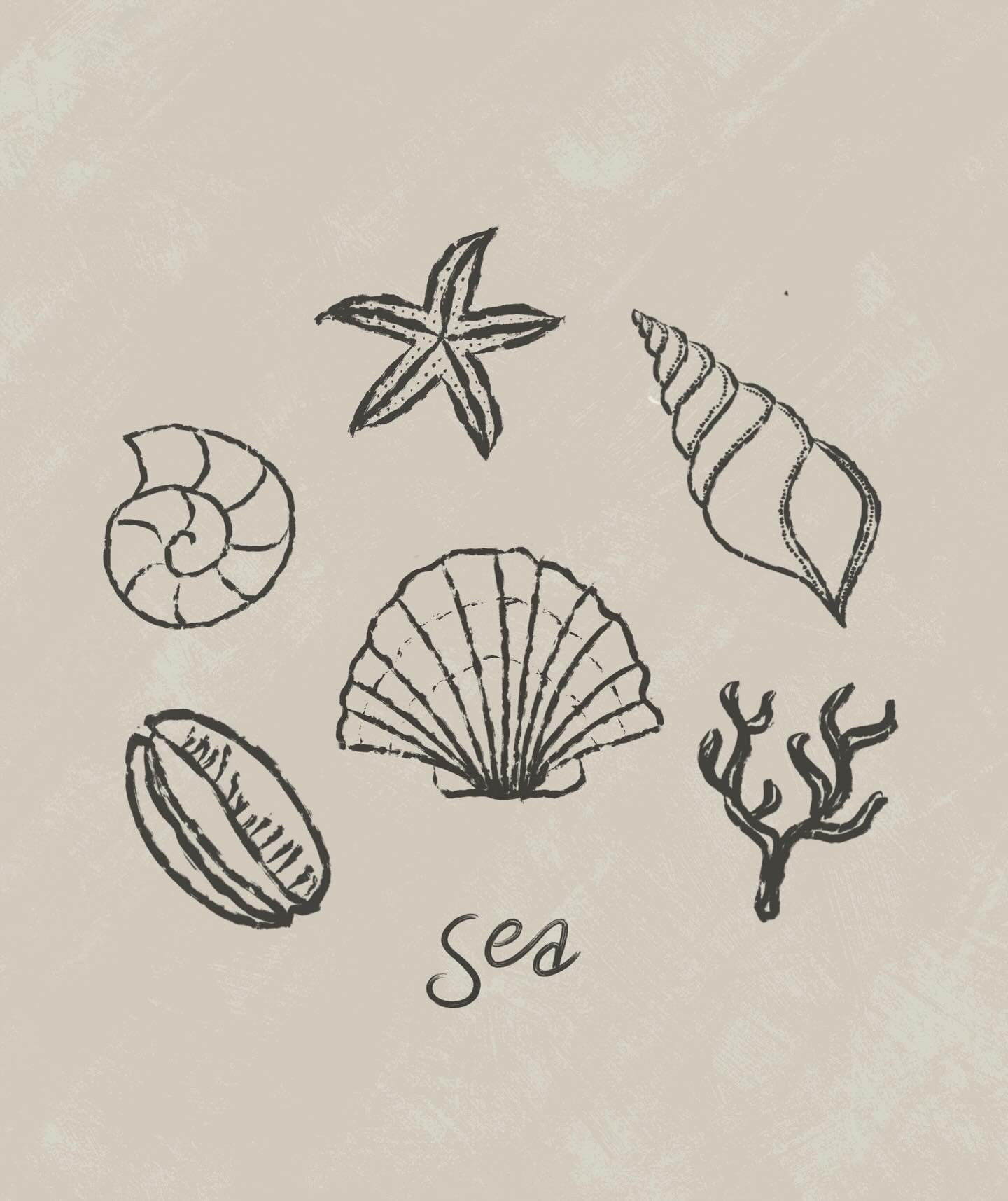 The collection from the world below 
&lowast; ⊛ ◈ ✵ &loz; ❖ ⟐ ⬫

 #OceanTattoo #SeaTattoo #SeashellTattoo #MinimalTattoo #FineLineTattoo #TinyTattooDesign #MinimalInk #OceanInspiredTattoo #LineArtTattoo #SmallTattoo