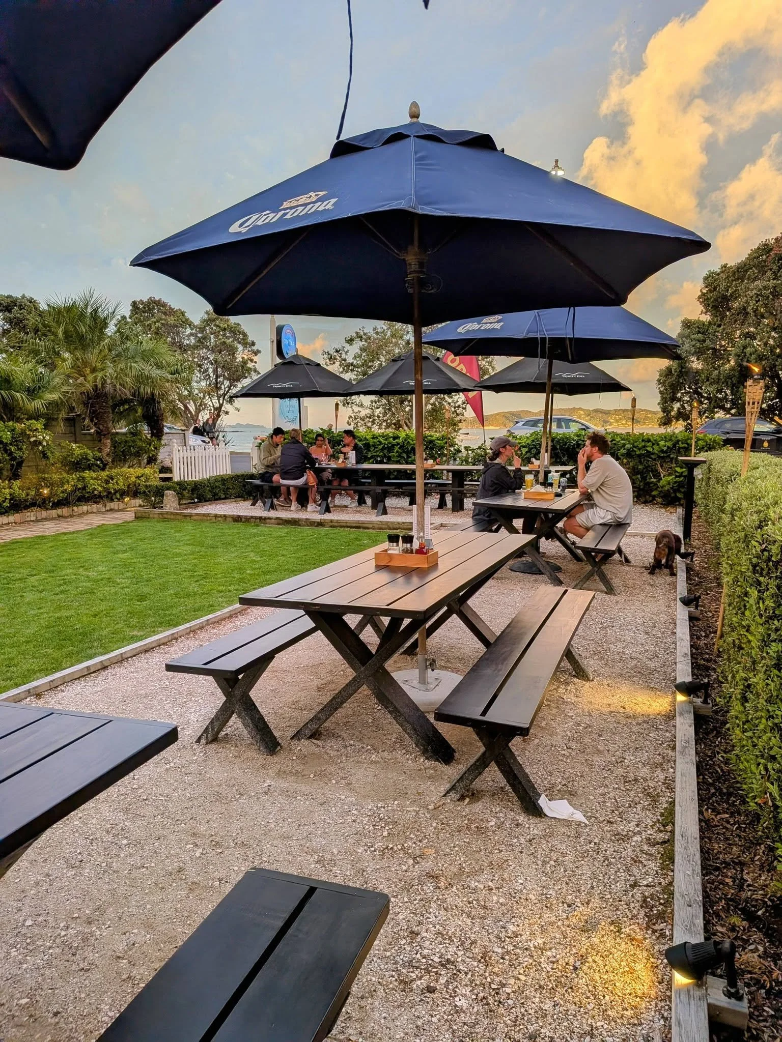 By George Restaurant Paihia Bay of Islands