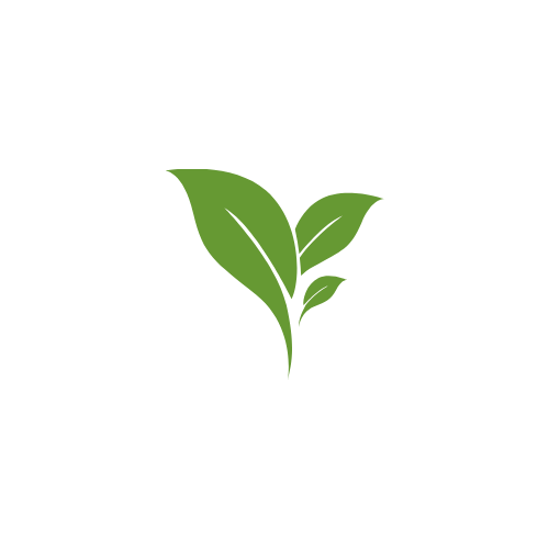 A black circular logo with green leaves in the center.