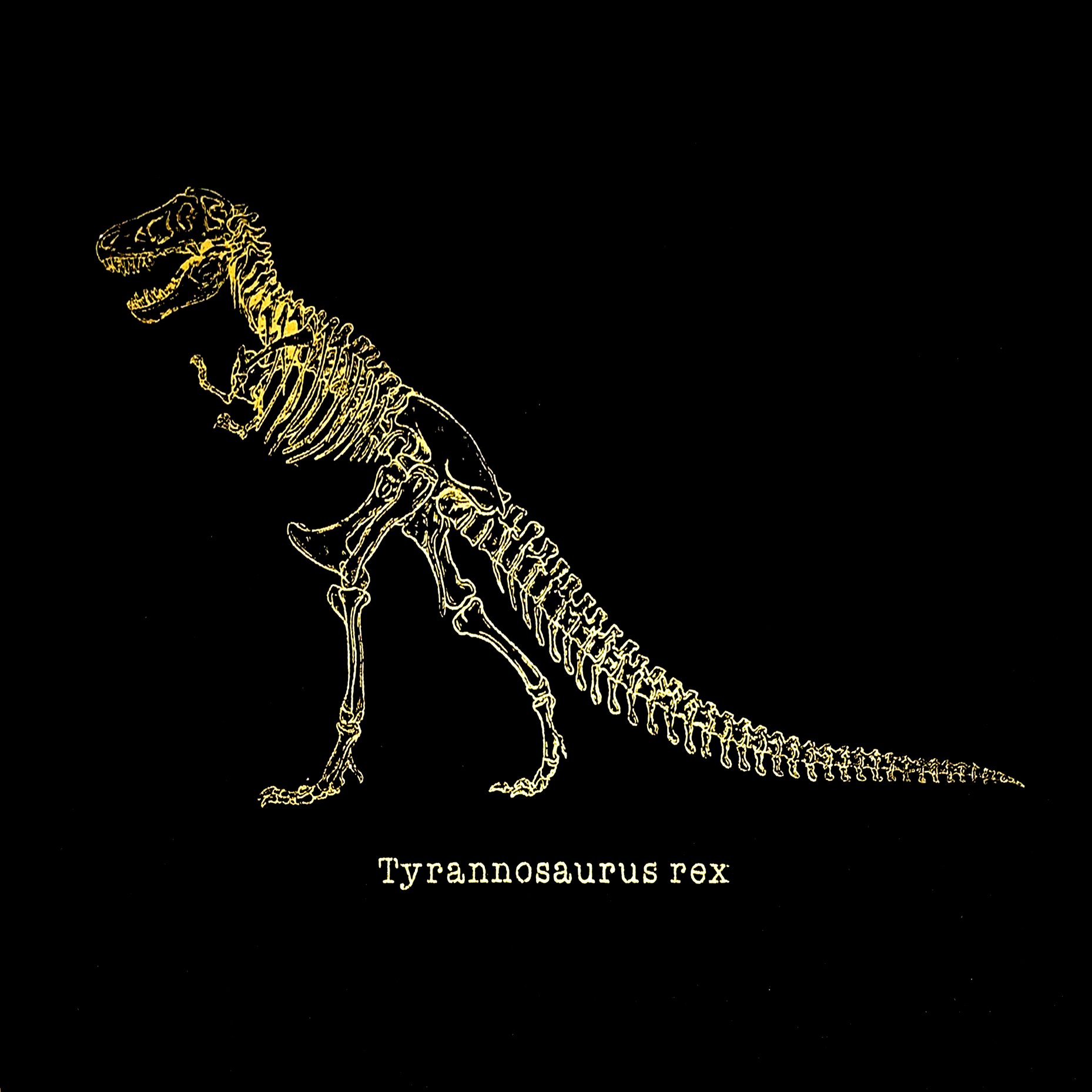 327289911_1372437213296112_267007936130410521_n (1).jpg