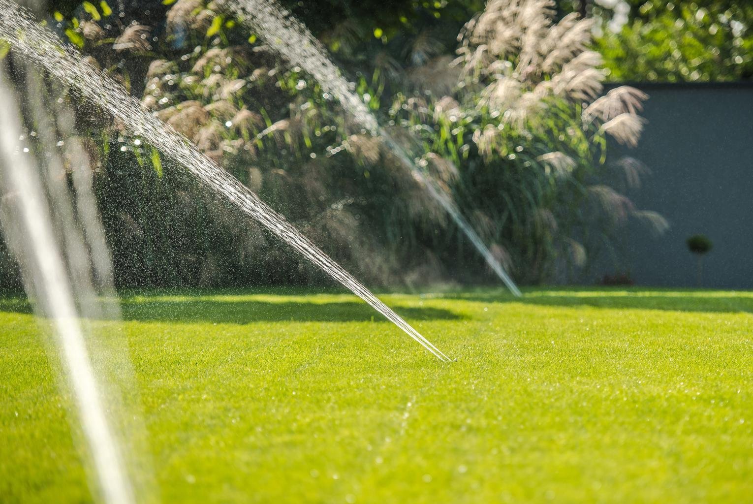 Smarter Watering, Healthier Lawns in Lubbock