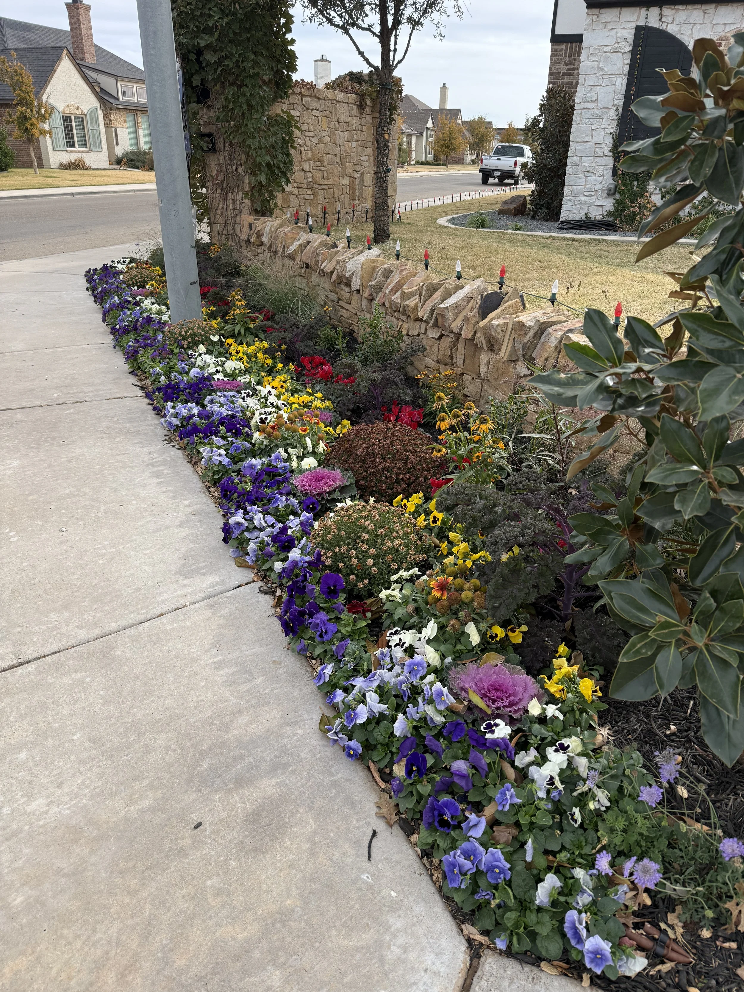 seasonal-flower-bed-landscaping-sidewalk-lubbock-texas-natures-edge.jpeg