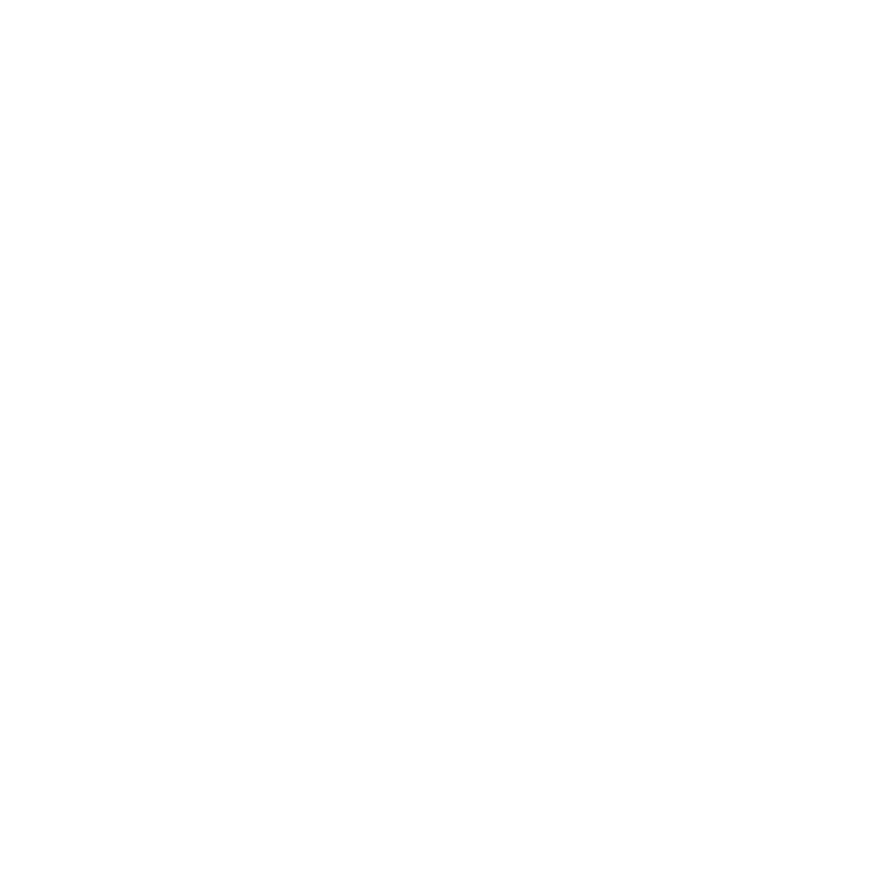 acer.png