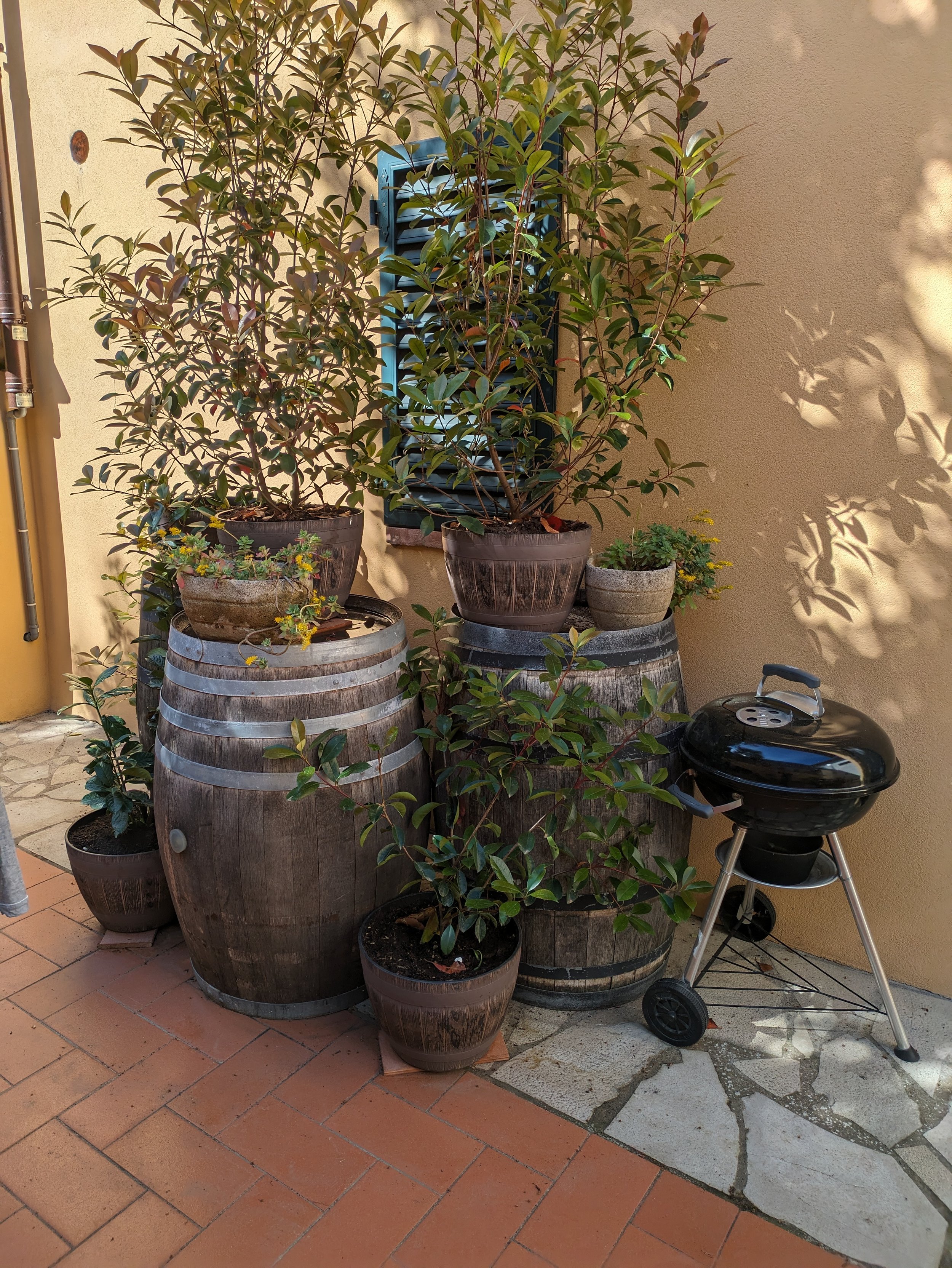 PXL_20240417_080251106.jpg
