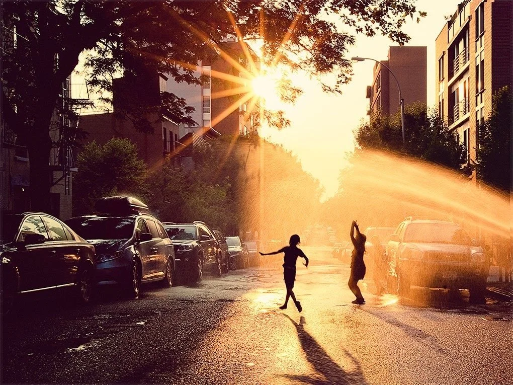 My Criminal Justice Journey