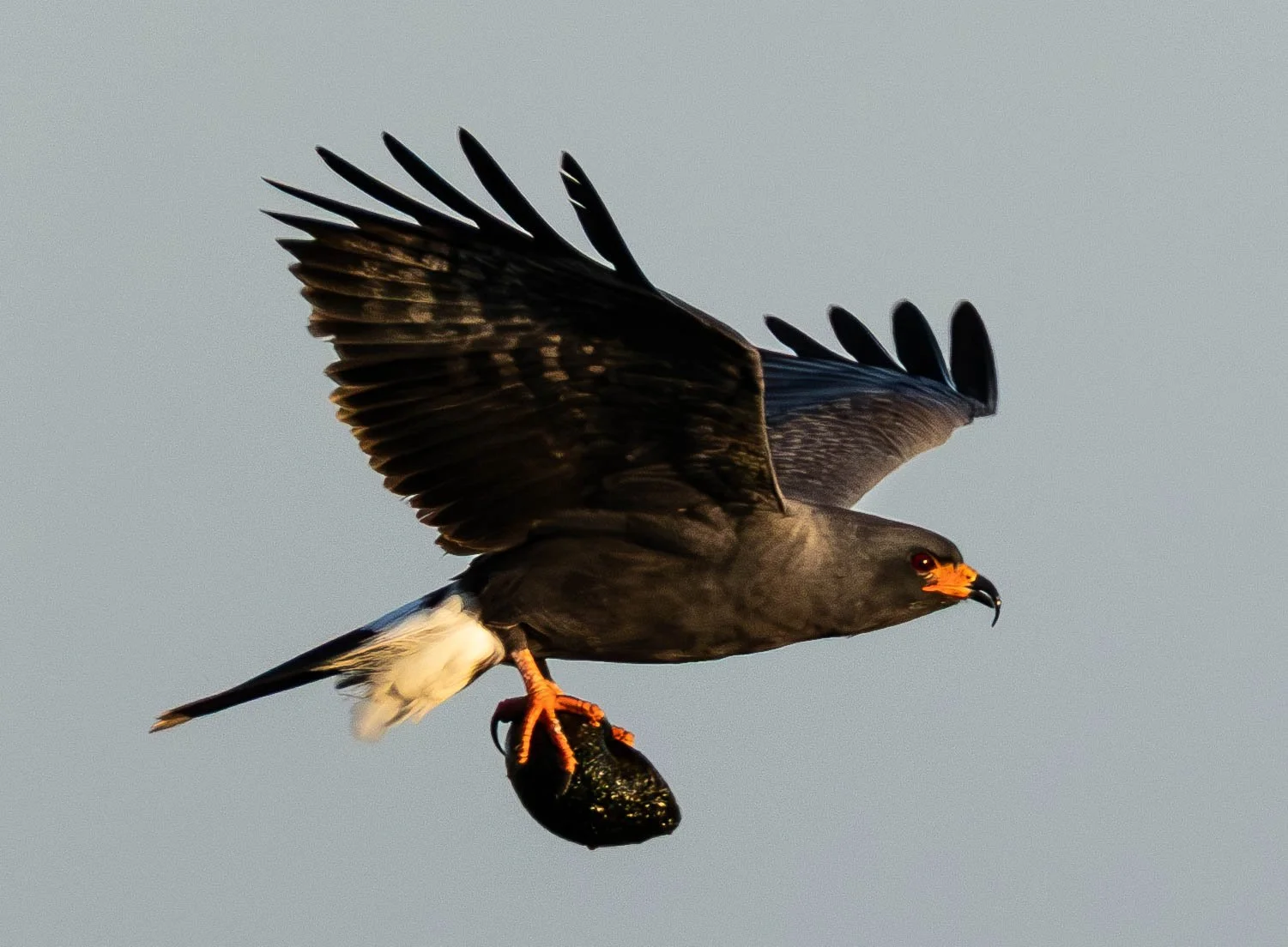 _M2A0404-Enhanced-NR - Copy.jpg