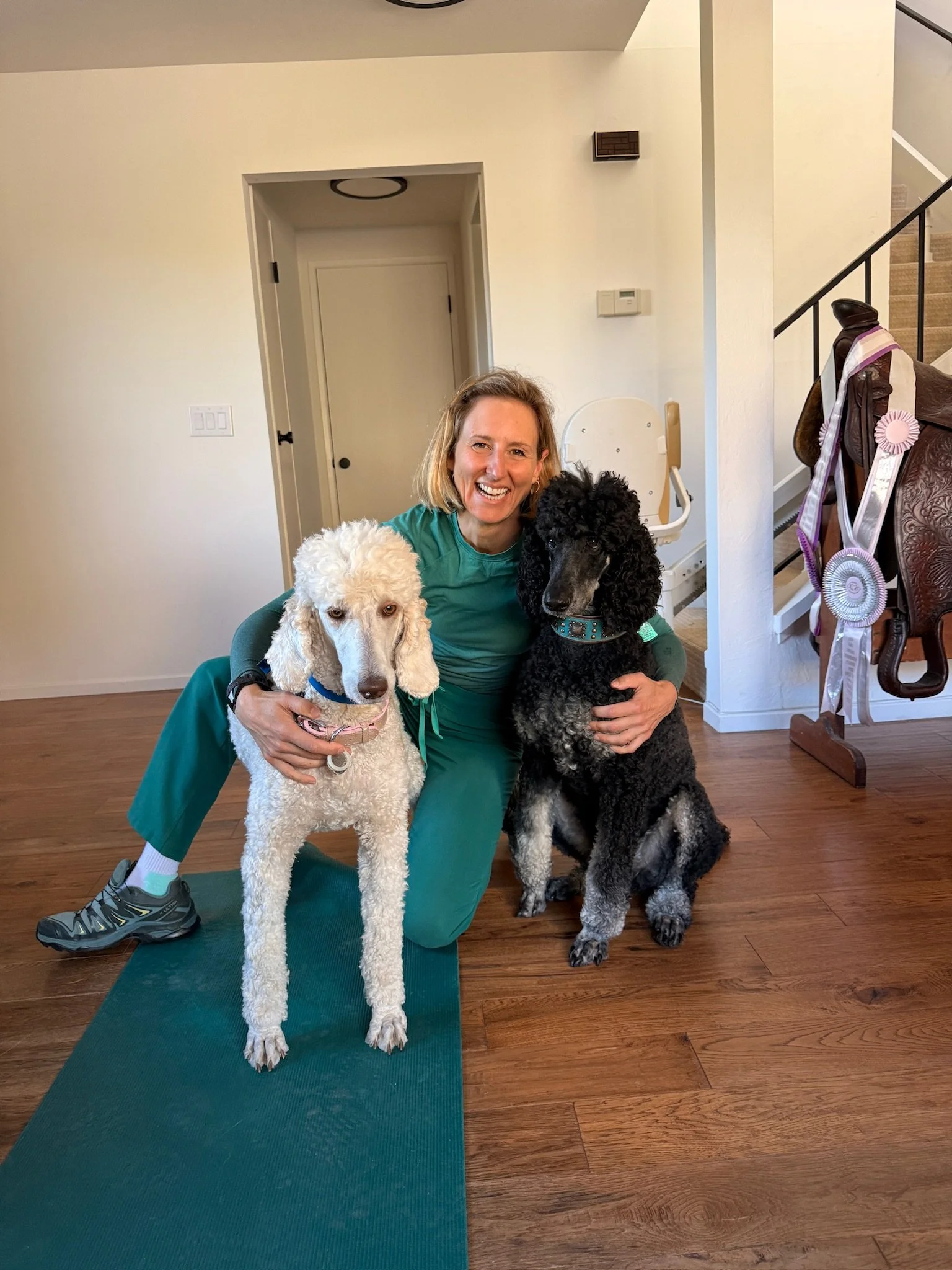 Two poodles during house call veterinary visit for vaccinations