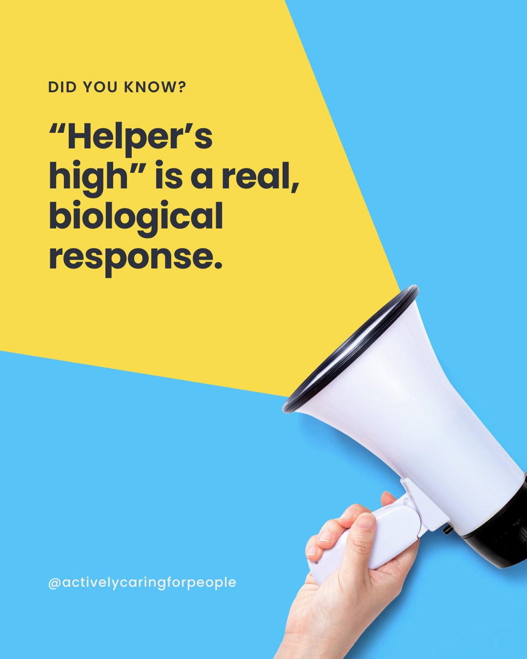 🧠 Helper&rsquo;s high is real - and your brain loves it. When you help someone, your body releases a powerful trio of feel-good chemicals:⁠
⁠
💚 Oxytocin (connection)⁠
💛 Dopamine (reward)⁠
❤️ Endorphins (pleasure &amp; pain relief)⁠
⁠
That means ac