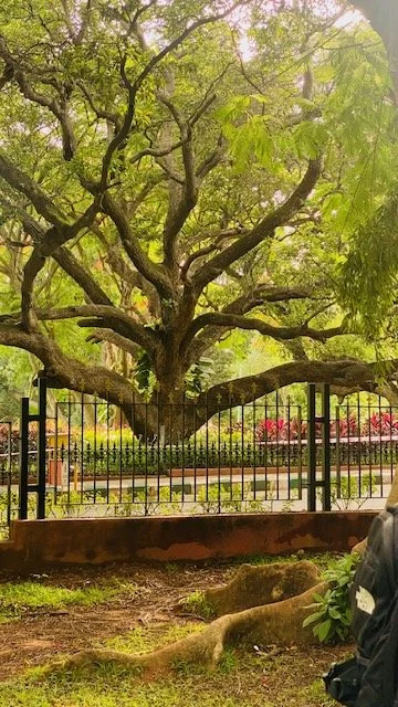Bangalore 15.jpg