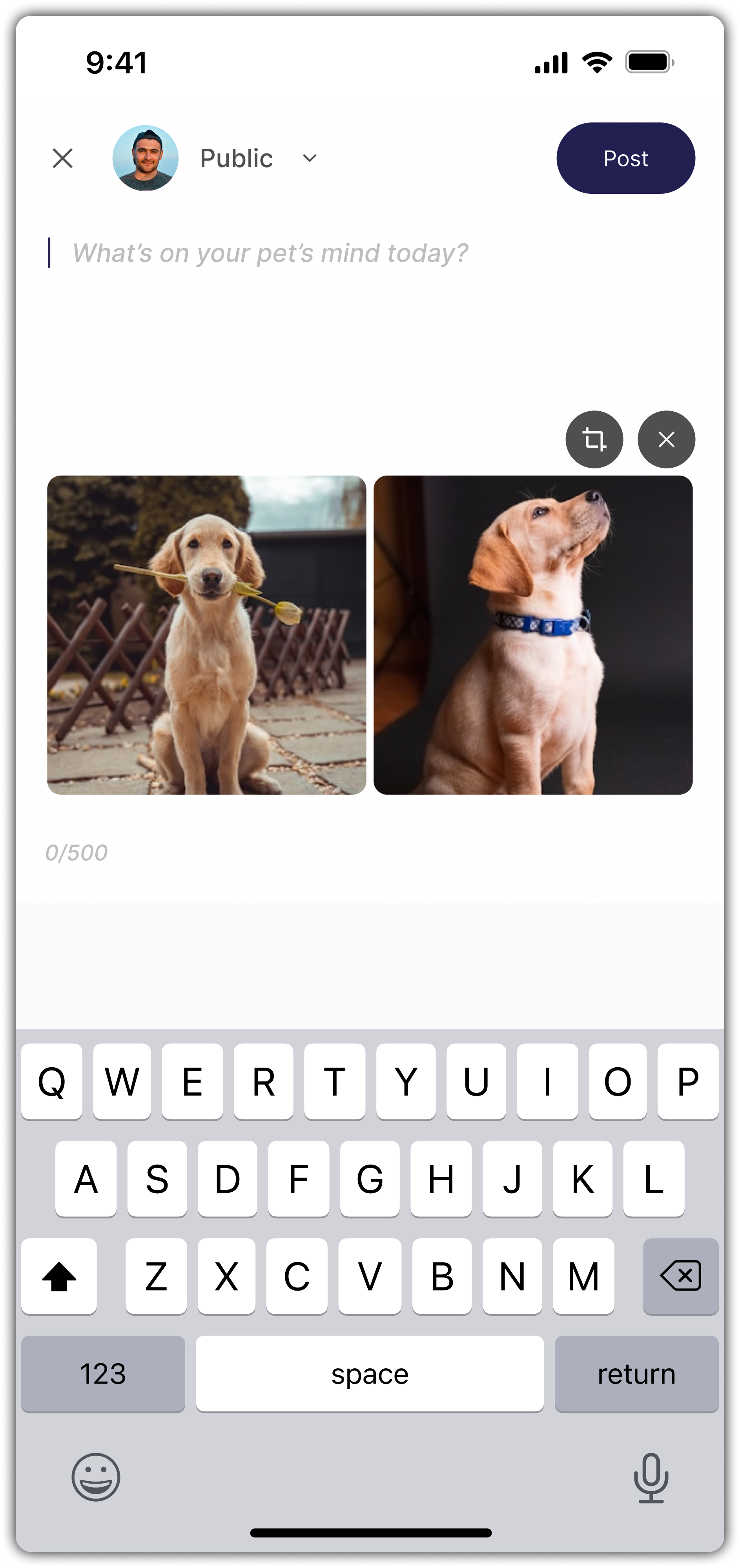 Posting Photos