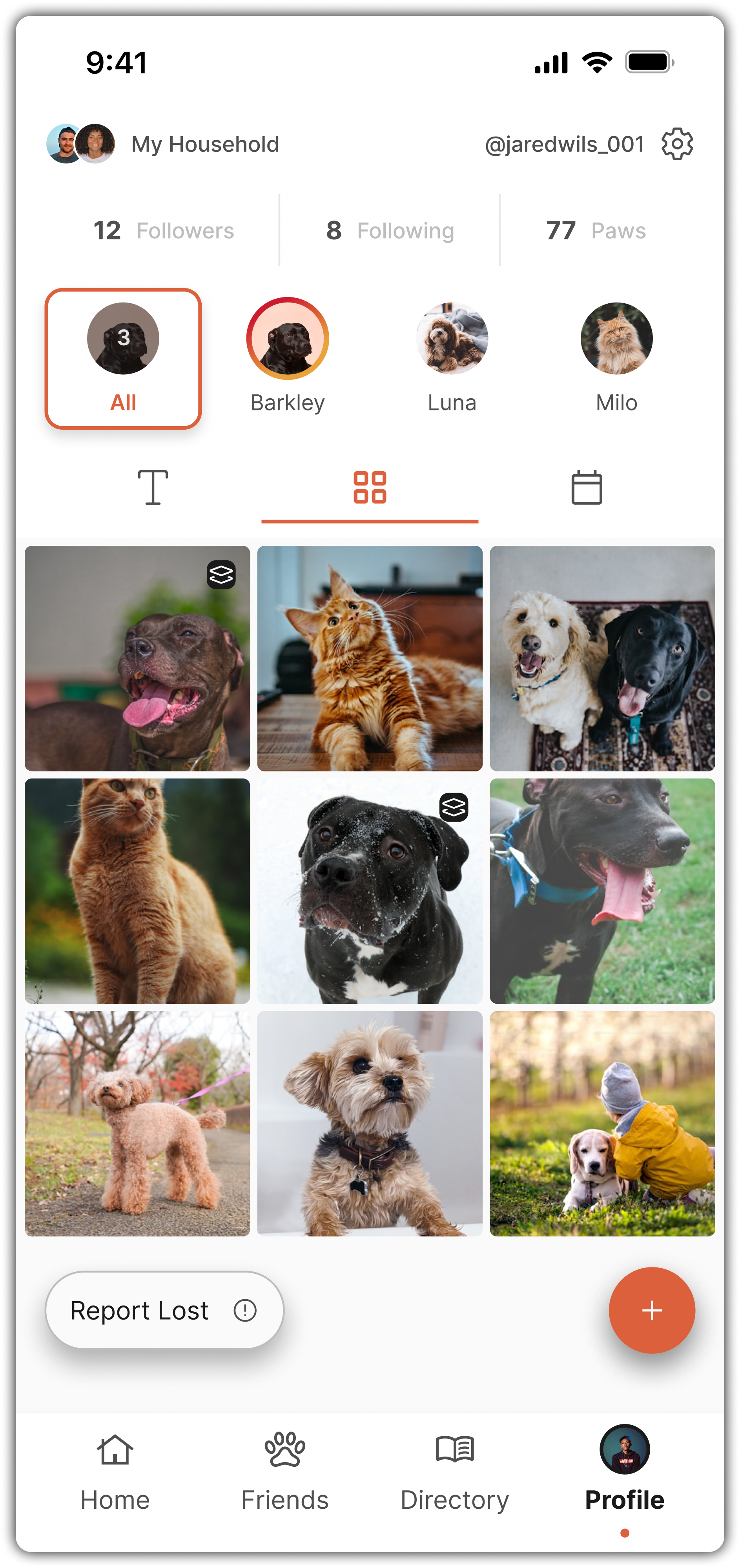 My Profile - Grid View