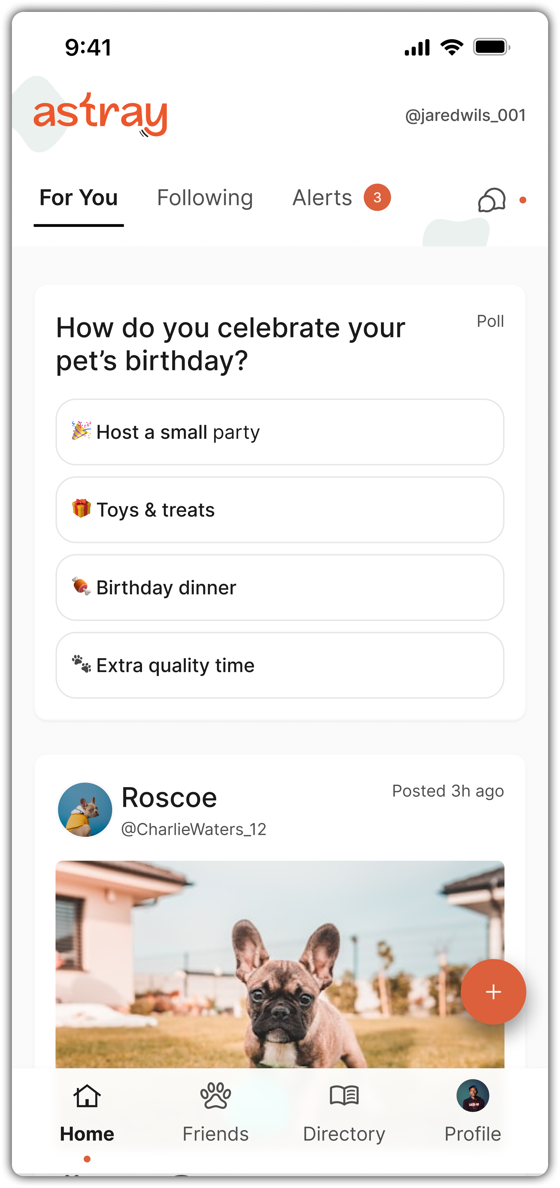 User Feed