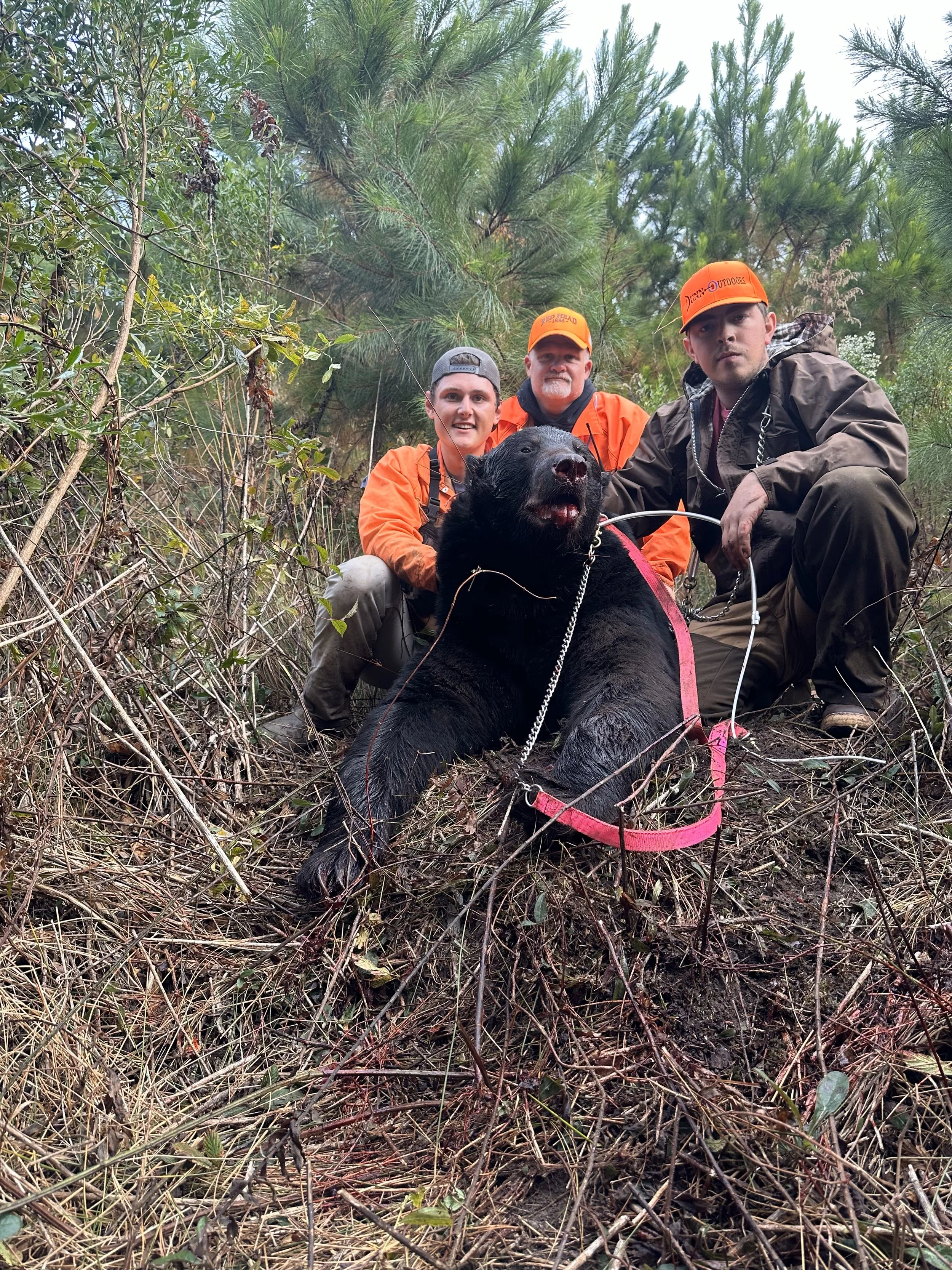 Bear hunting and new guns go hand in hand!